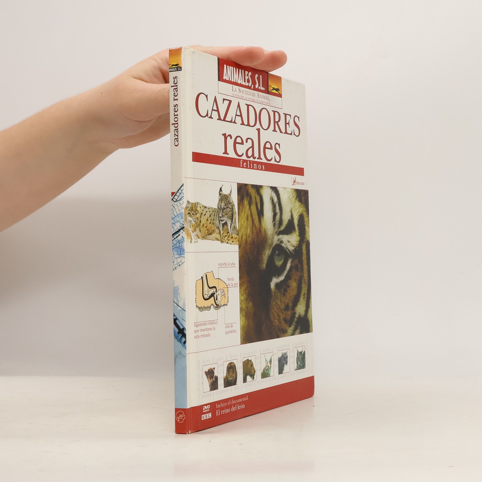 Cazadores reales