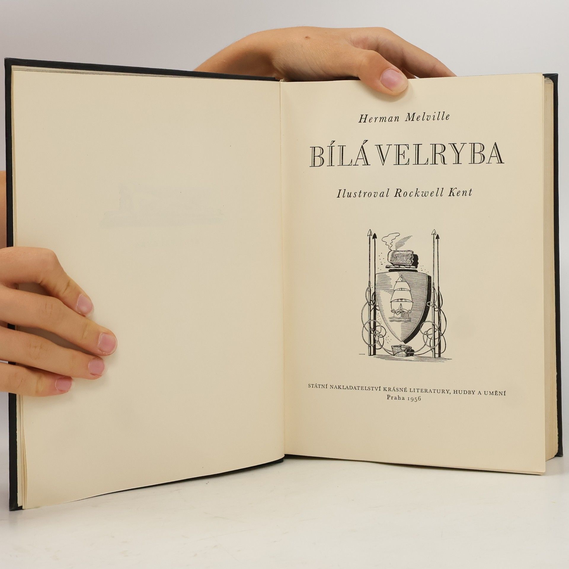 Herman Melville Bílá velryba