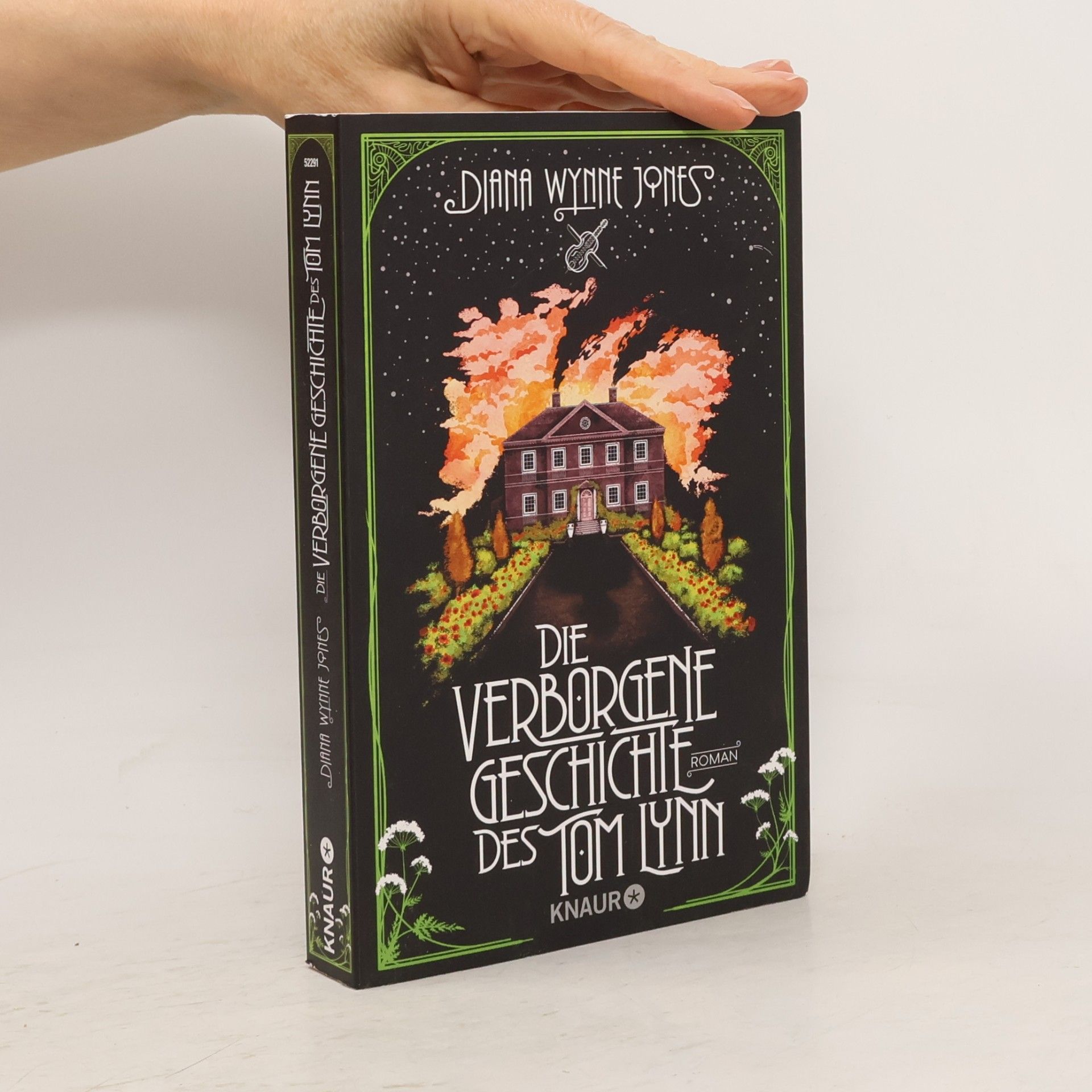Diana Wynne Jones Die verborgene Geschichte des Tom Lynn