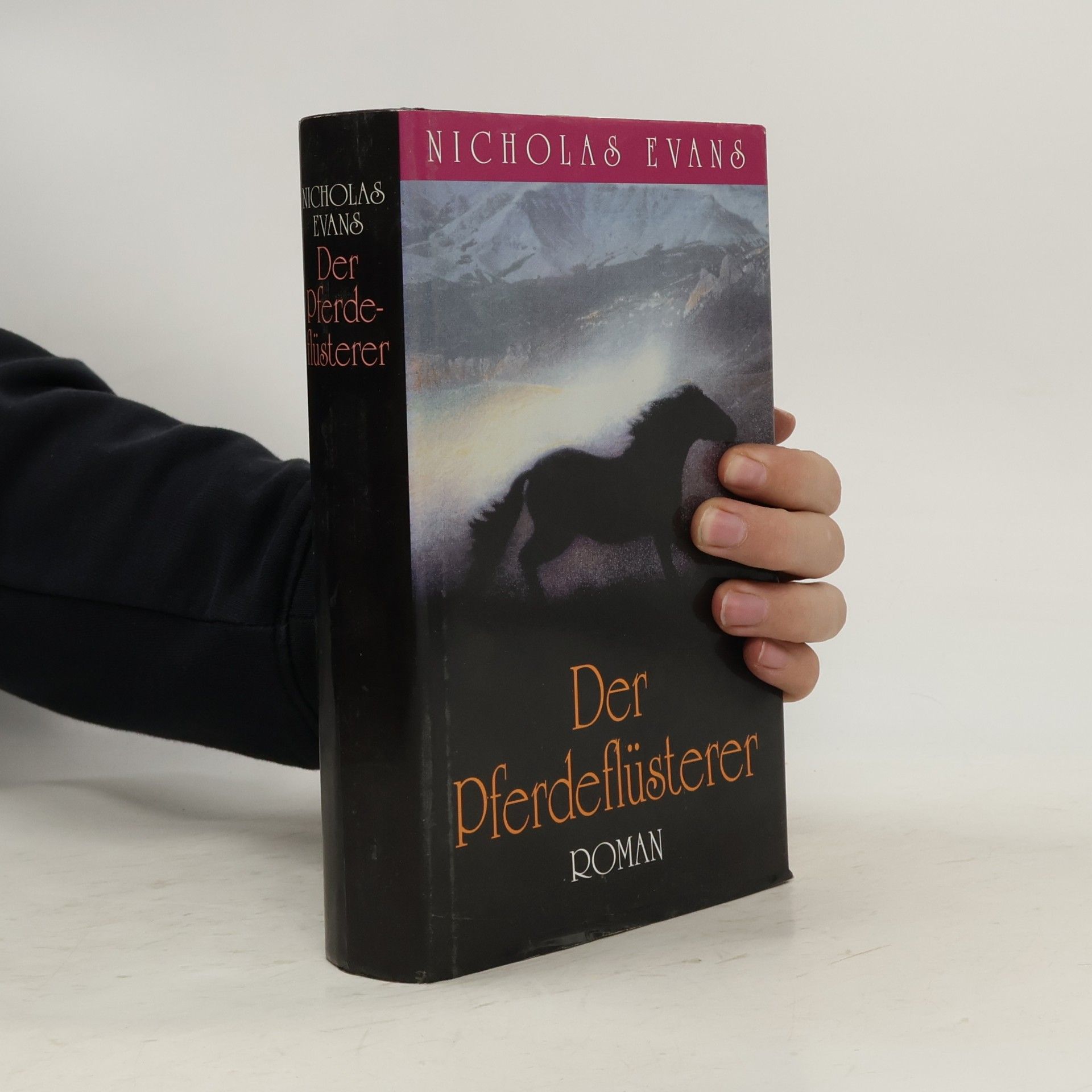 Nicholas Evans Der Pferdeflüsterer