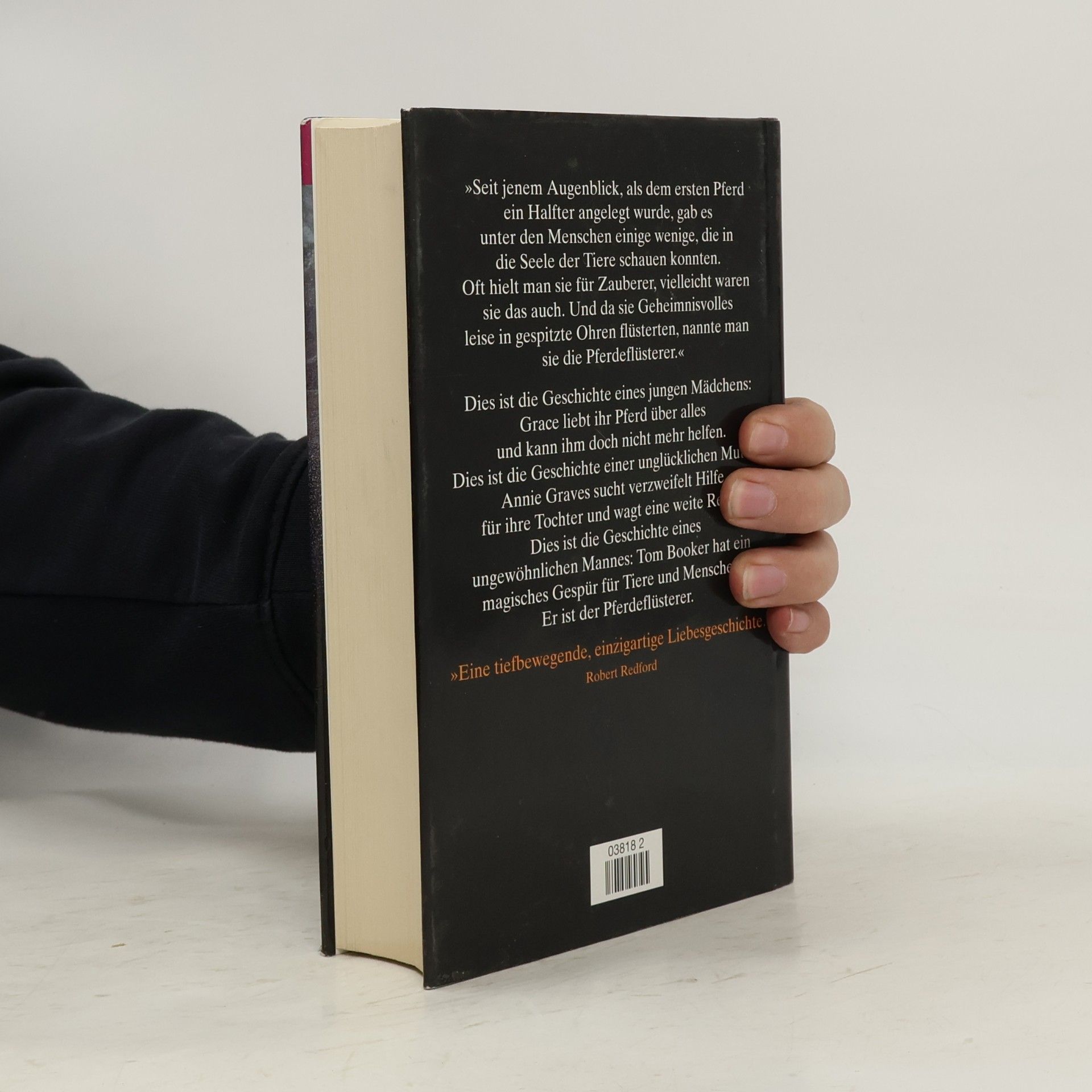 Nicholas Evans Der Pferdeflüsterer