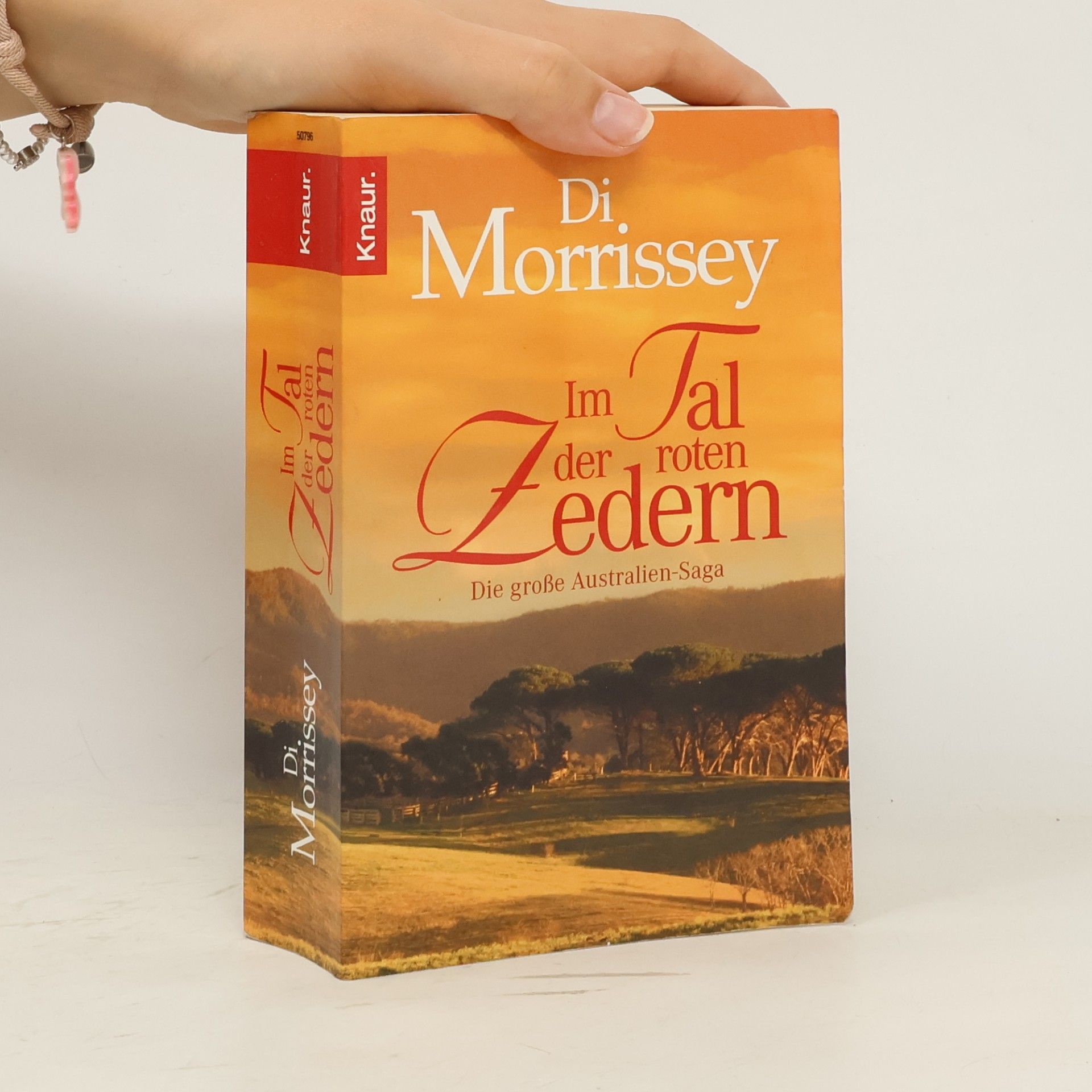 Di Morrissey Im Tal der roten Zedern