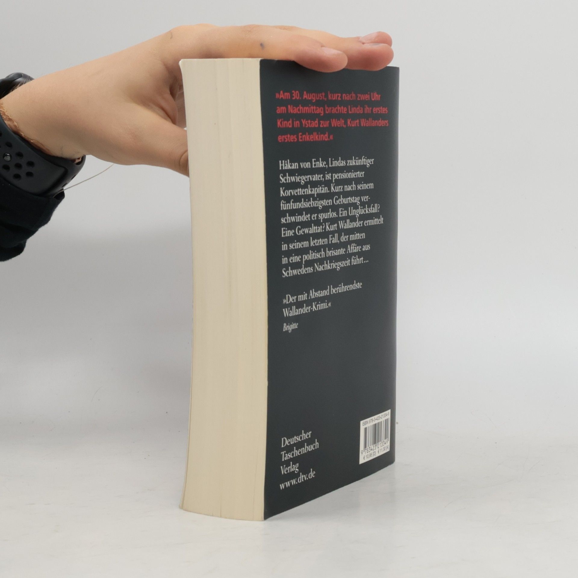 Henning Mankell Der Feind im Schatten