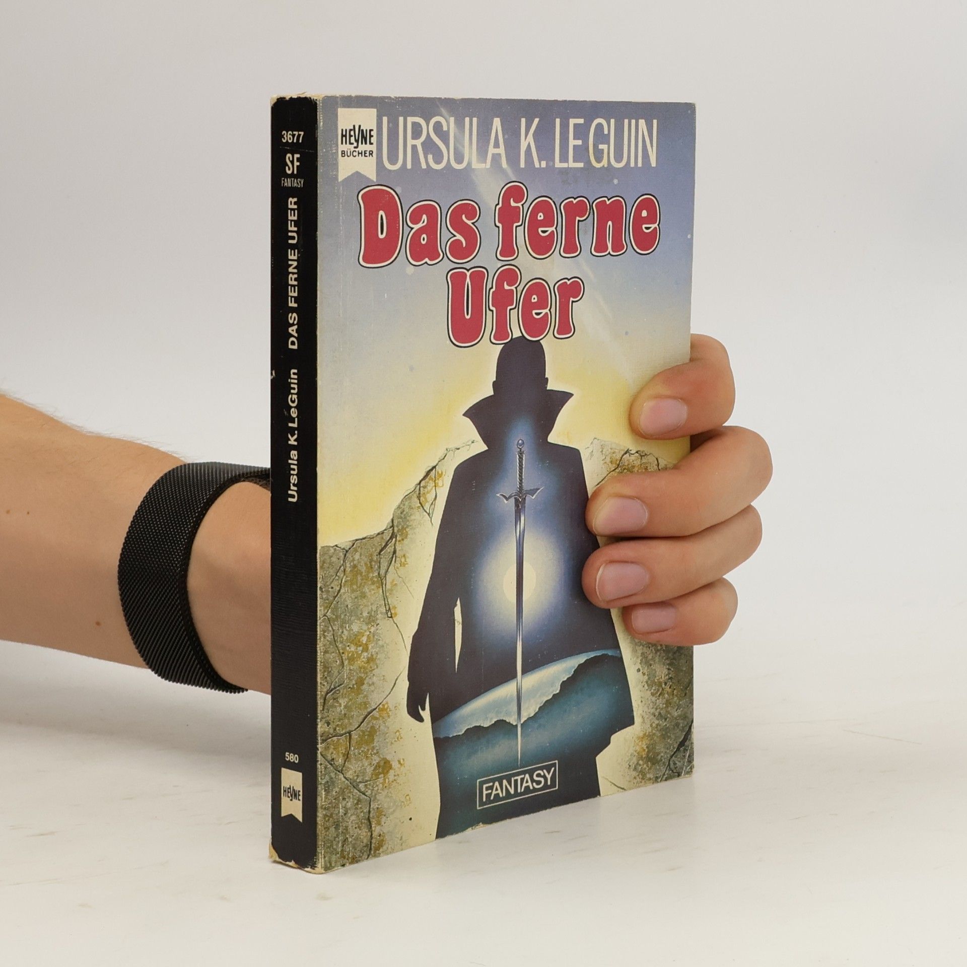 Das ferne Ufer