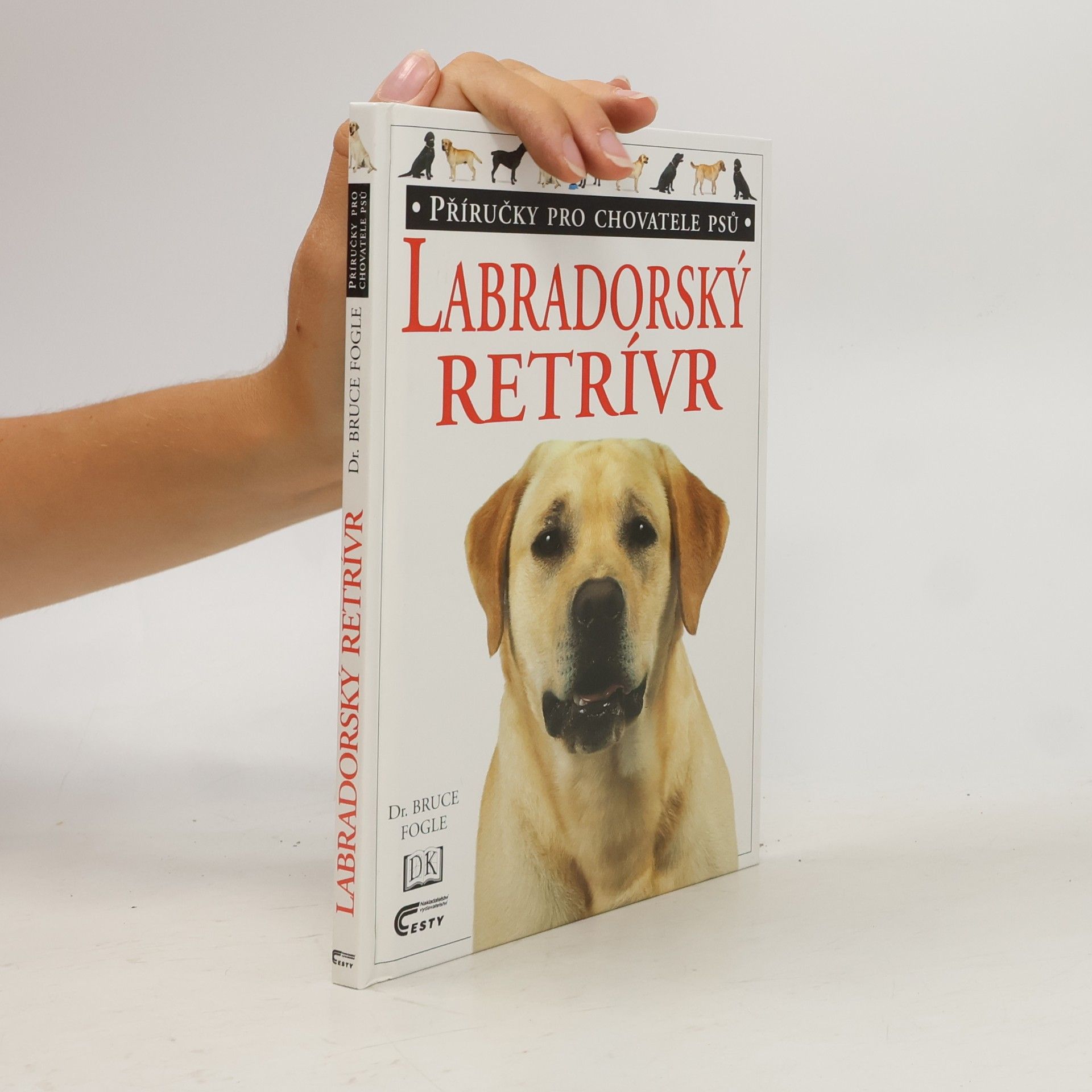 Labradorský retrívr