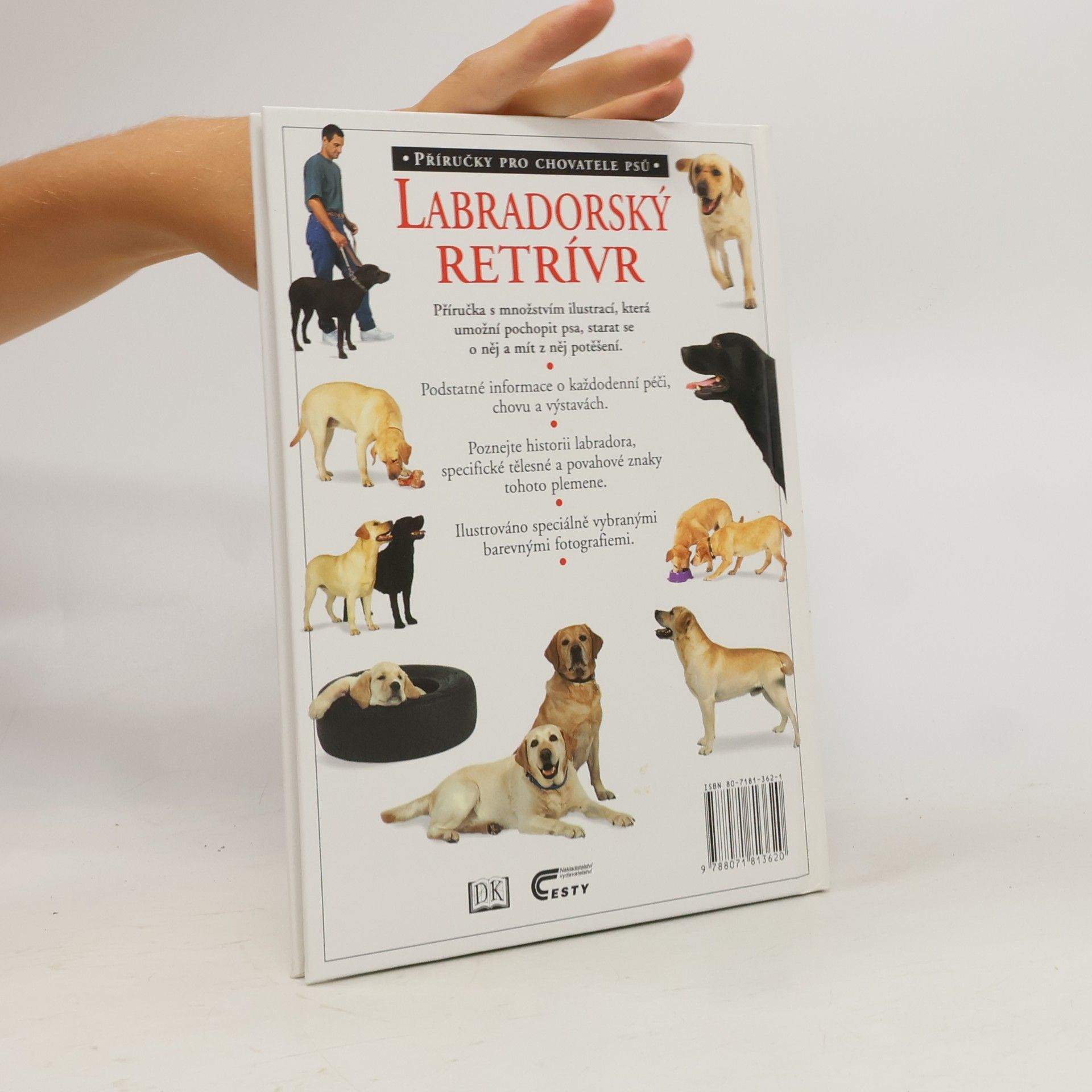 Bruce Folge Labradorský retrívr