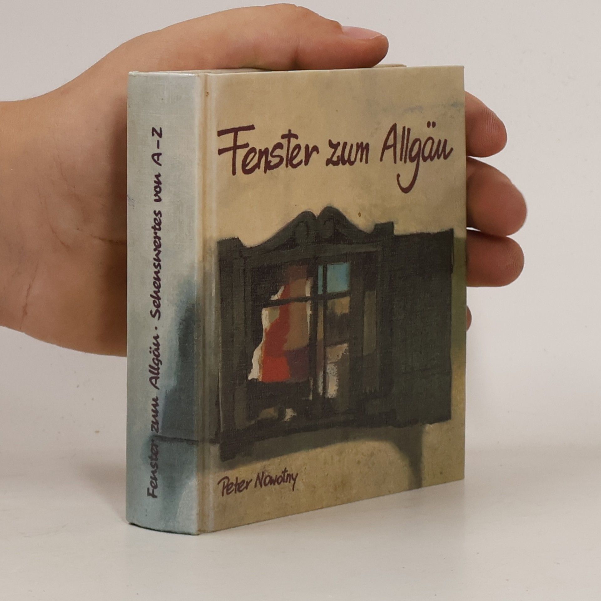 Peter Nowotny Fenster zum Allgäu