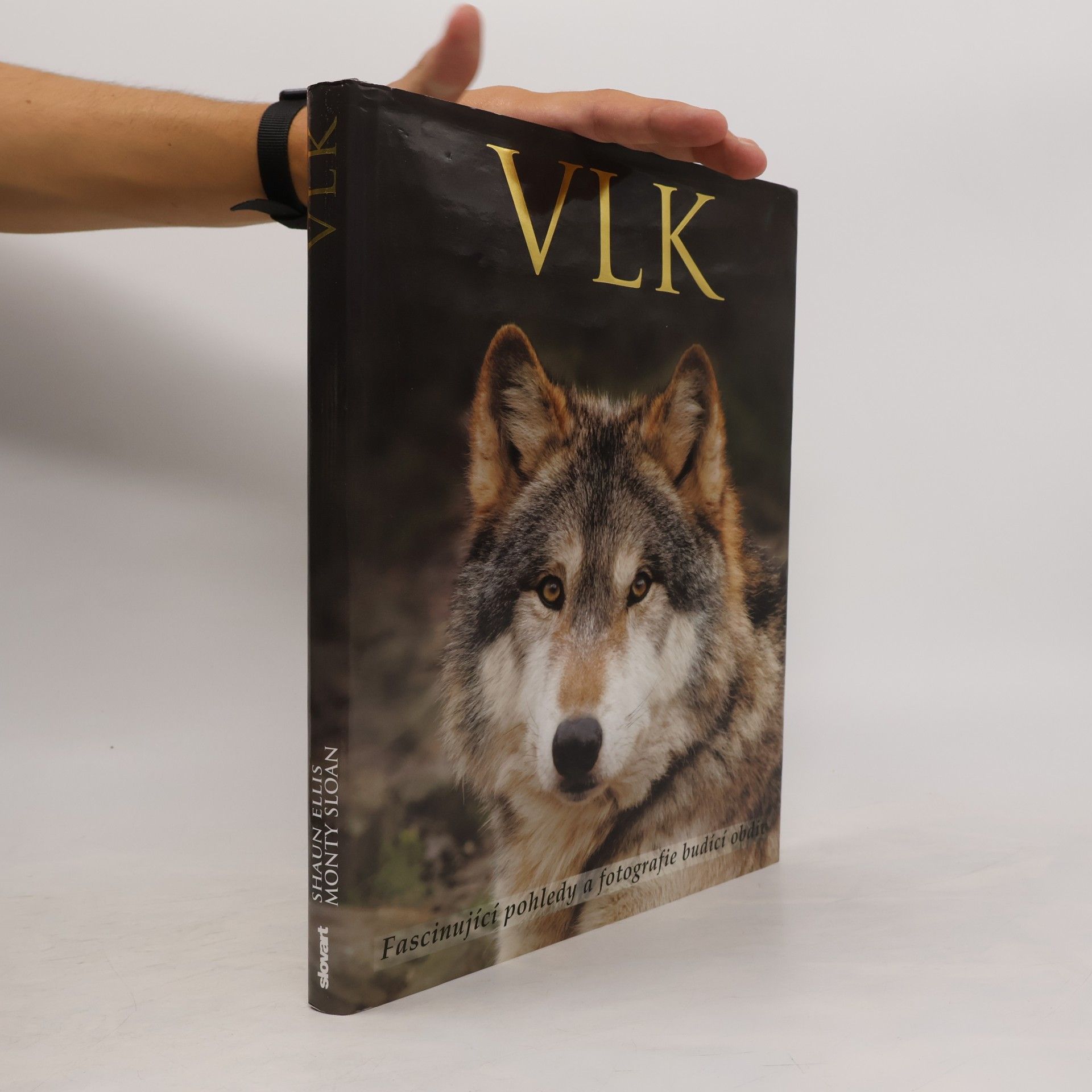 Shaun Ellis Vlk: Fascinující pohledy a fotografie budící obdiv
