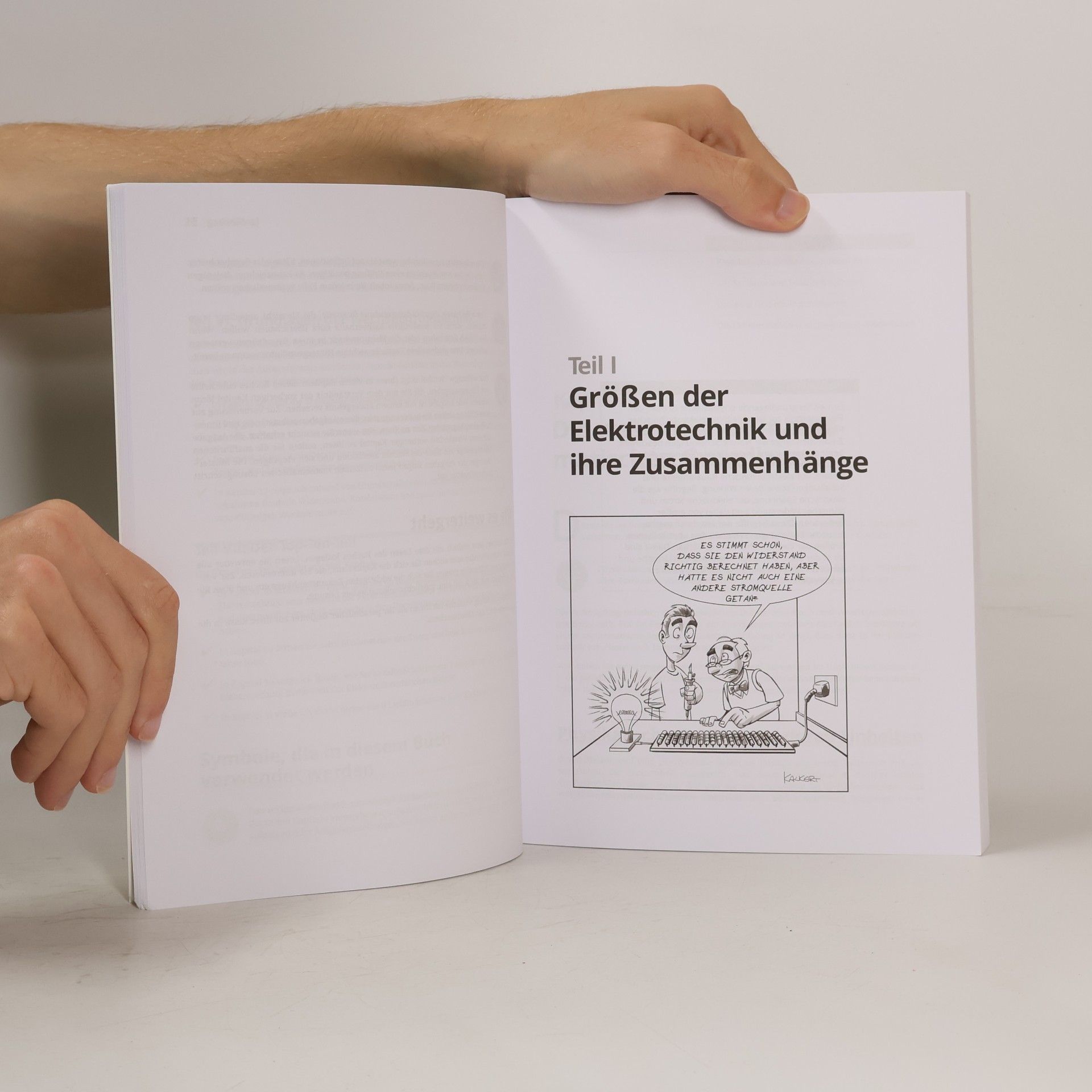 Michael Felleisen Elektrotechnik für Dummies