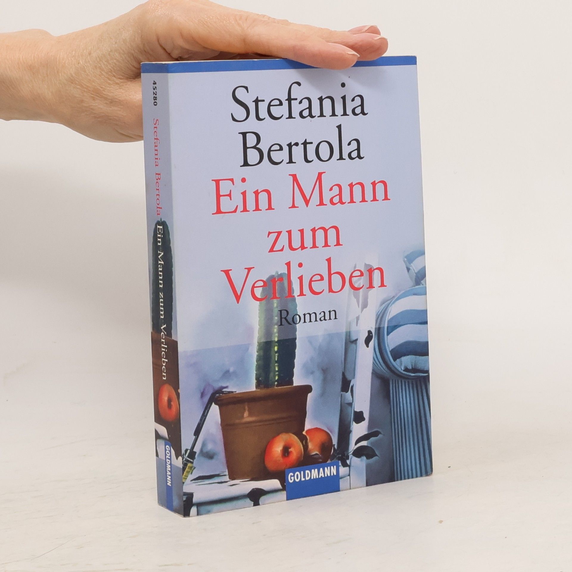 Stefania Bertola Ein Mann zum Verlieben