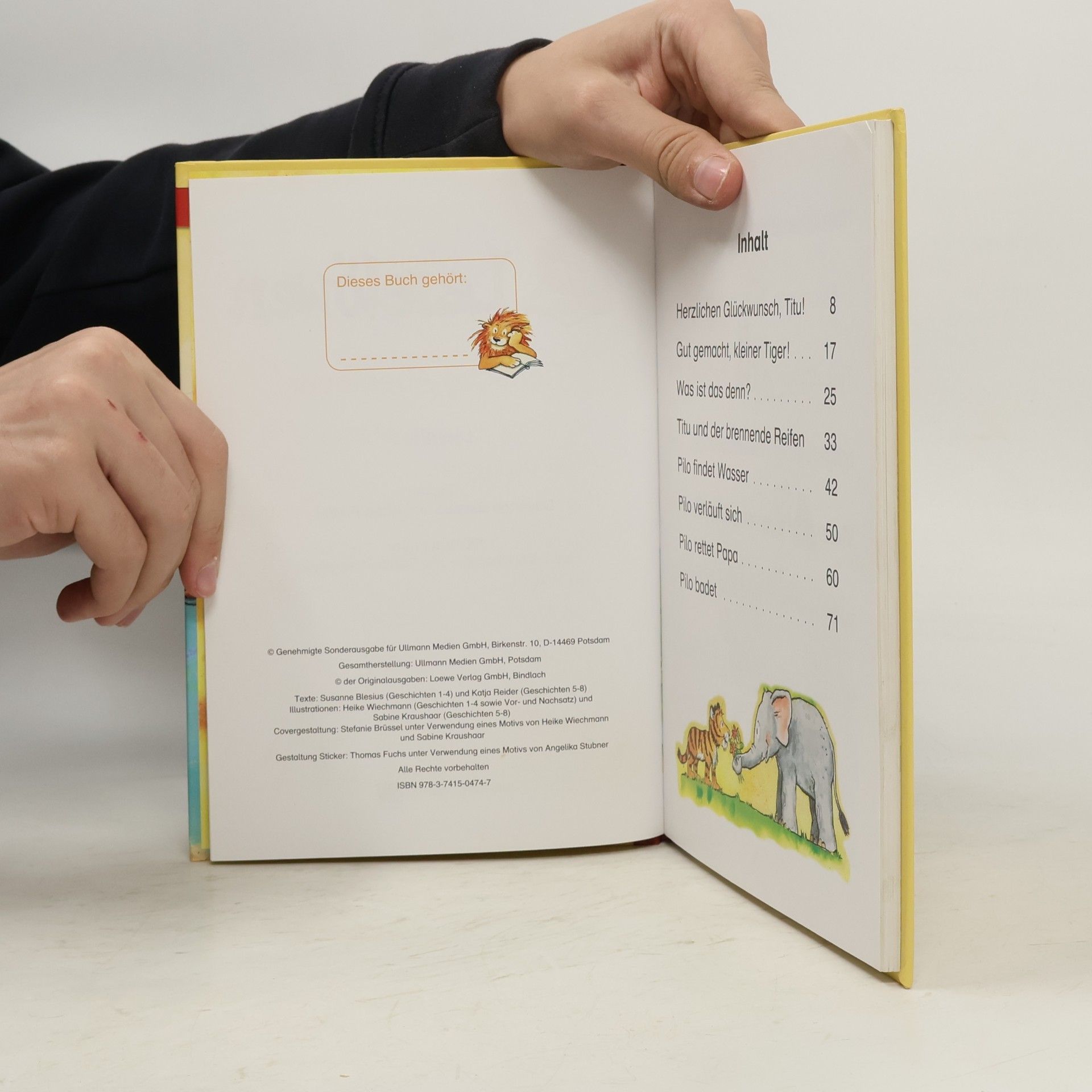 Autorenkollektiv Leselöwen. Tierische Abenteuer