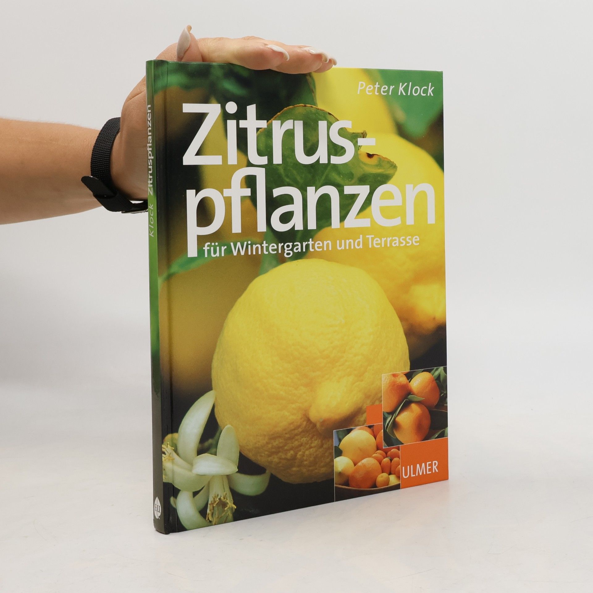 Zitruspflanzen für Wintergarten und Terrasse