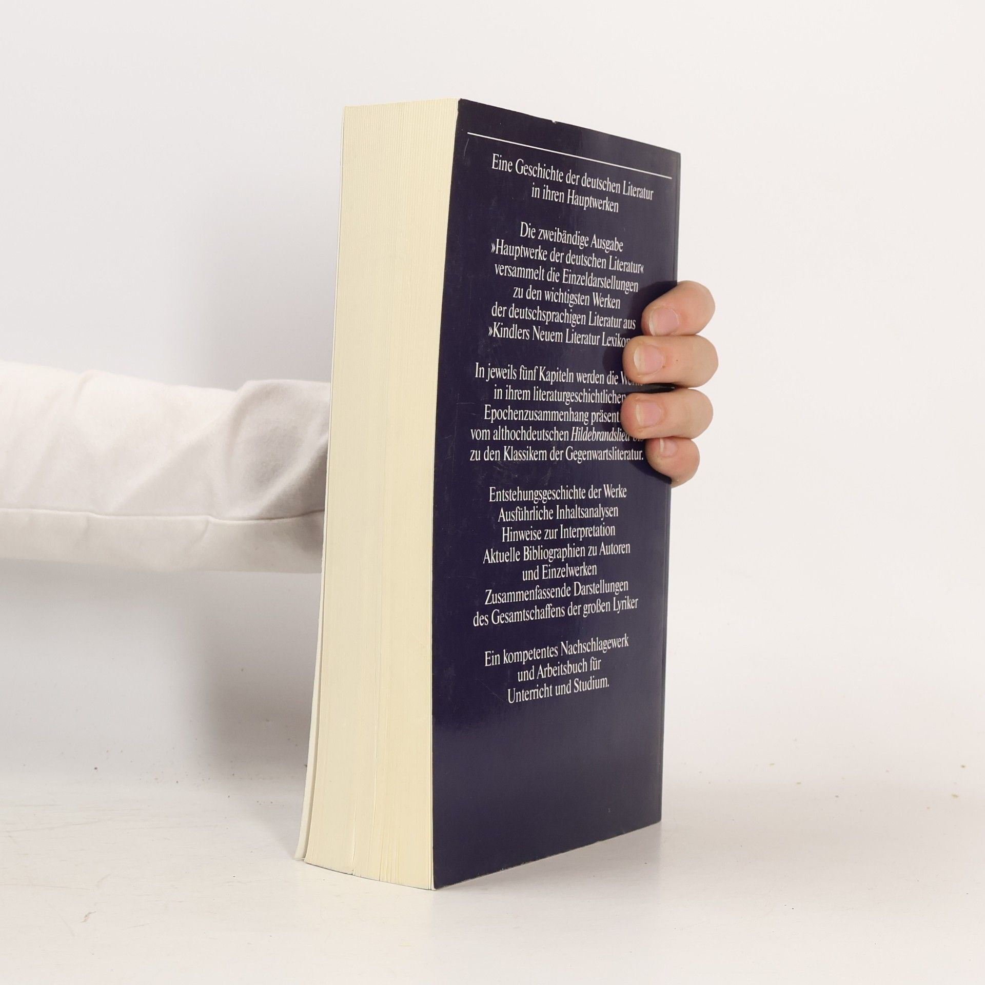 Autores varios Hauptwerke der deutschen Literatur 2