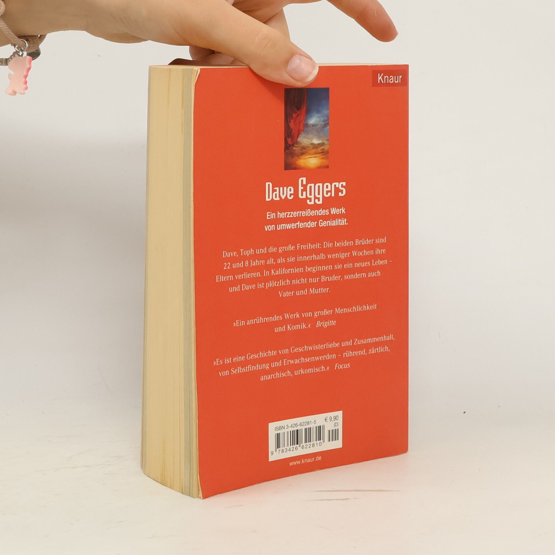 Dave Eggers Ein herzzerreissendes Werk von umwerfender Genialität