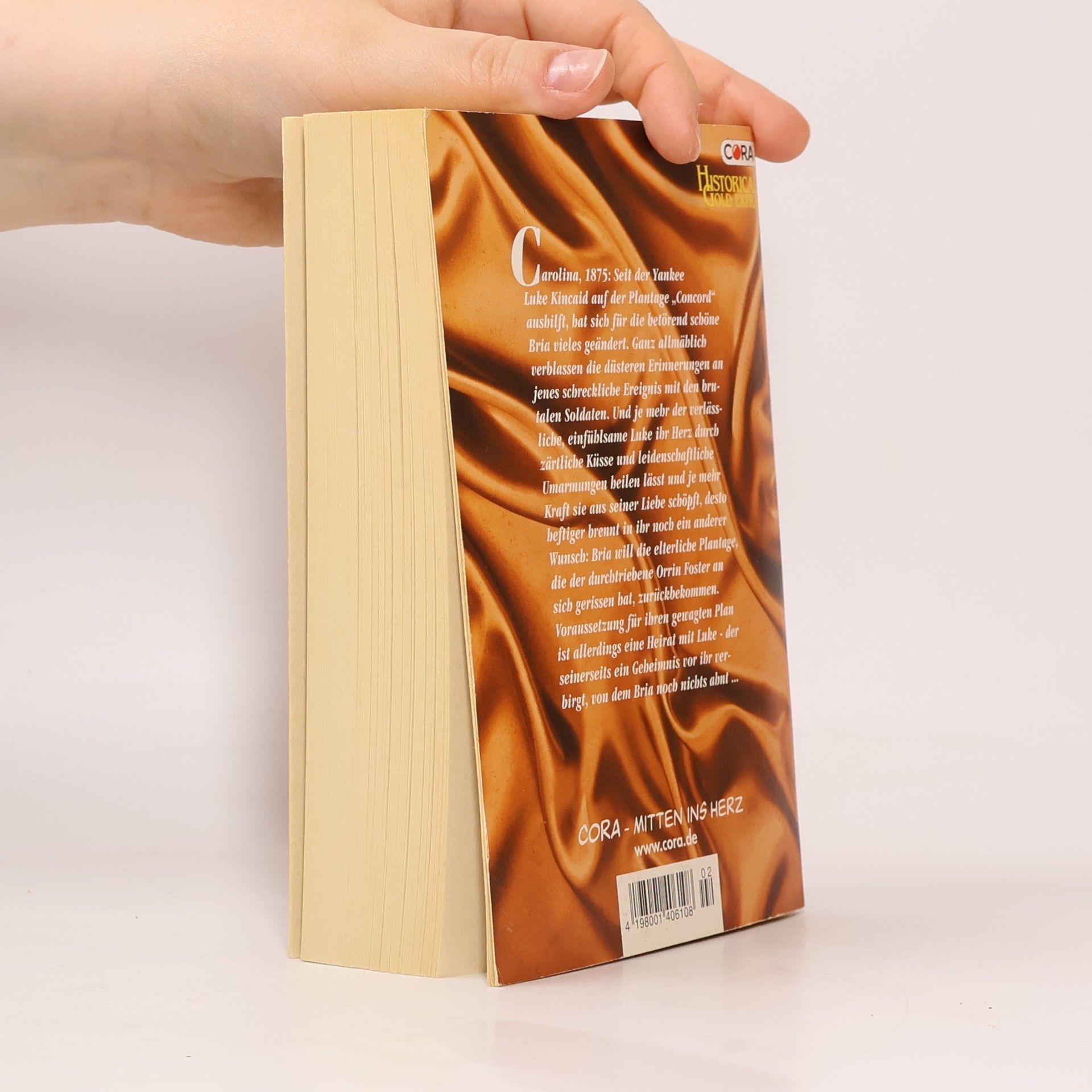 Jo Goodman Juwel der Liebe