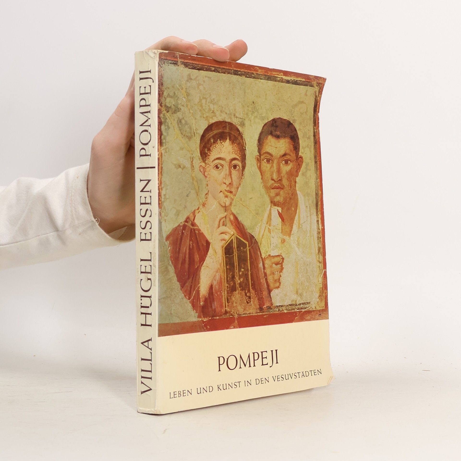 Bernard Andreae Pompeji: Leben und Kunst in den Vesuvstädten