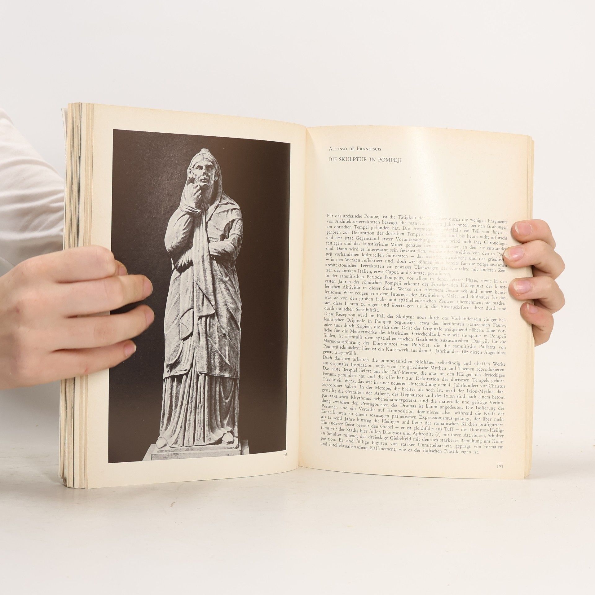Bernard Andreae Pompeji: Leben und Kunst in den Vesuvstädten