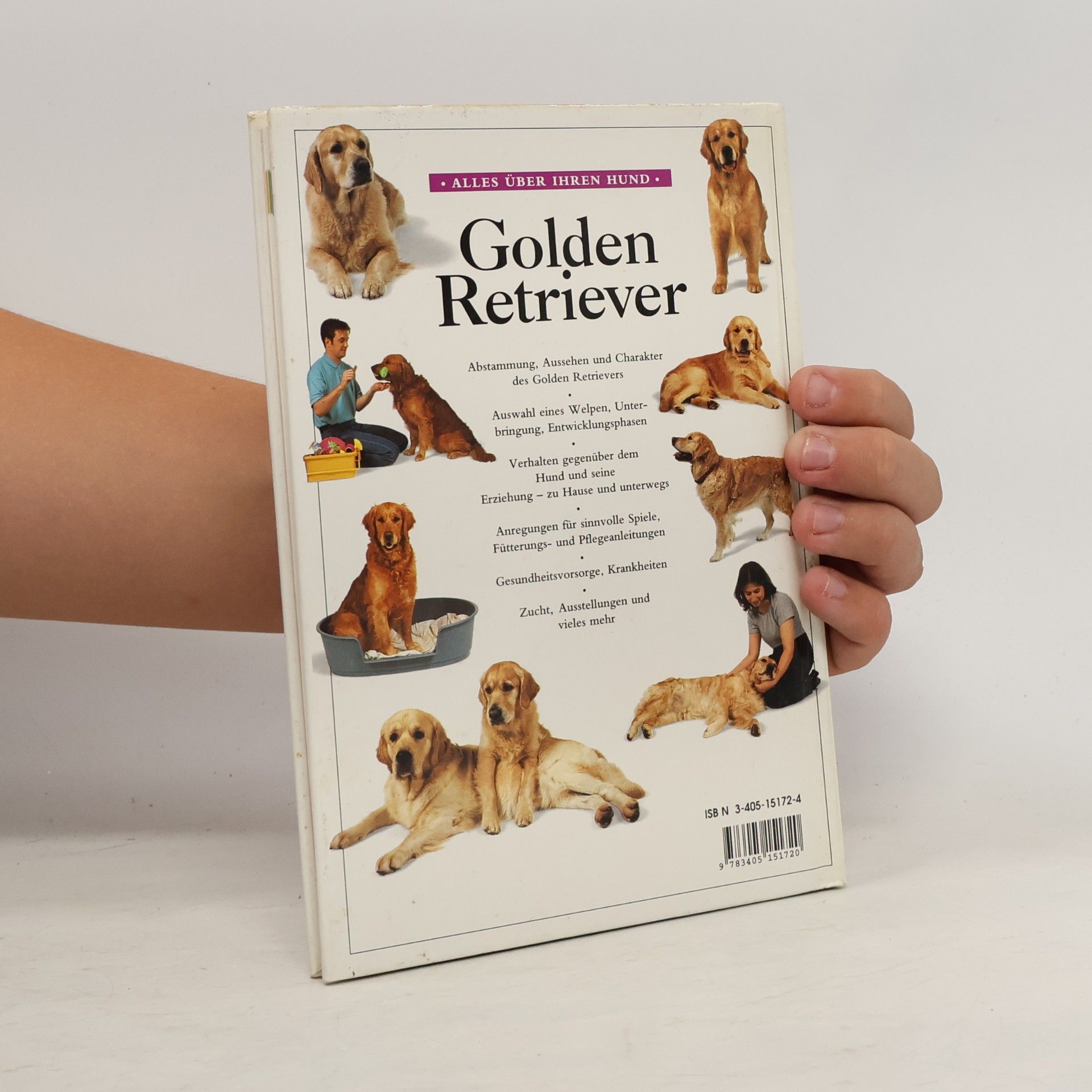 Bruce Folge Golden Retriever