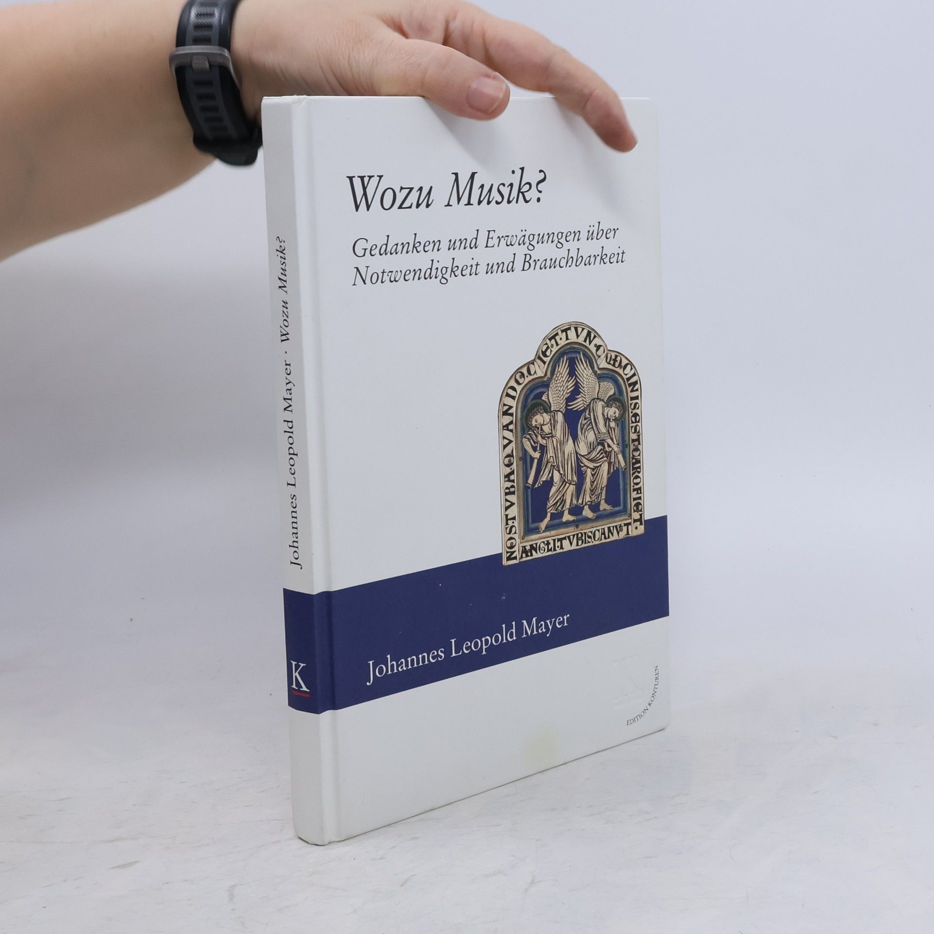 Johannes Mayer Wozu Musik?