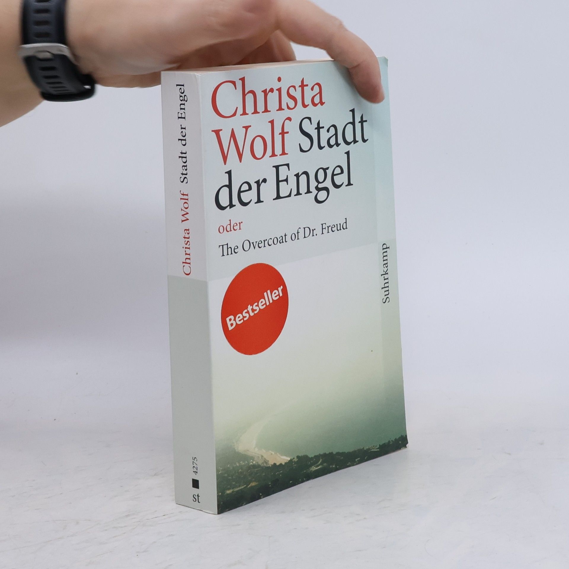 Christa Wolf Stadt der Engel oder the overcoat of Dr. Freud