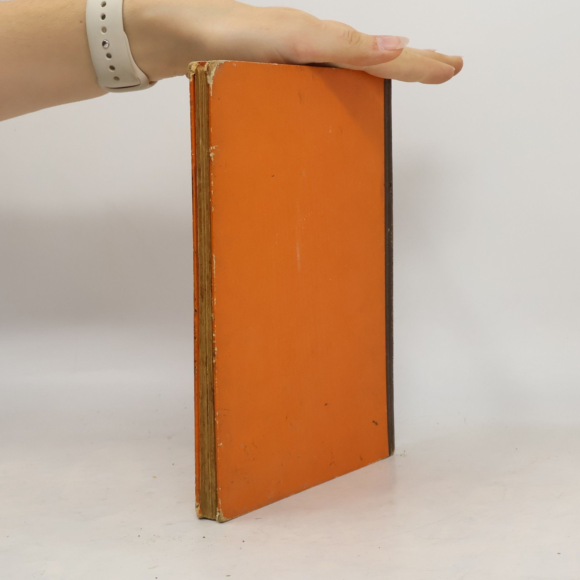 Kolektiv autorů Unser Backbuch