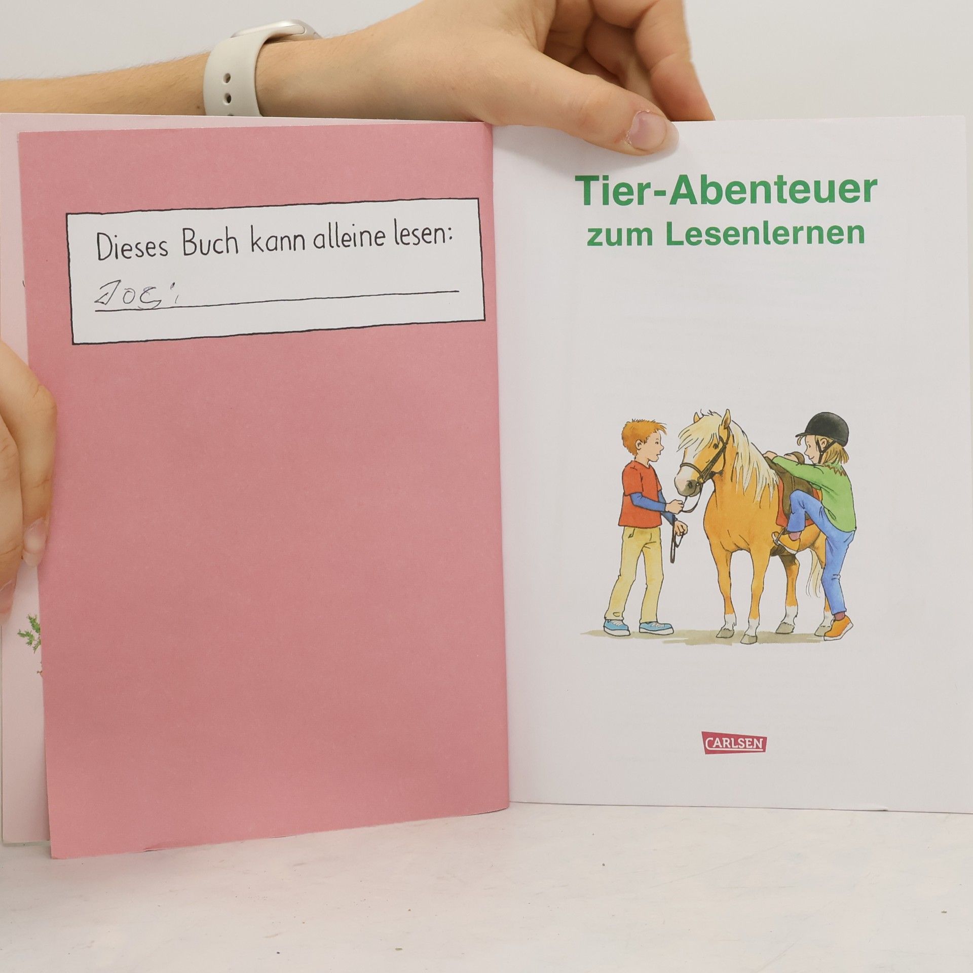 Kolektiv autorů Tier-Abenteuer zum Lesenlernen