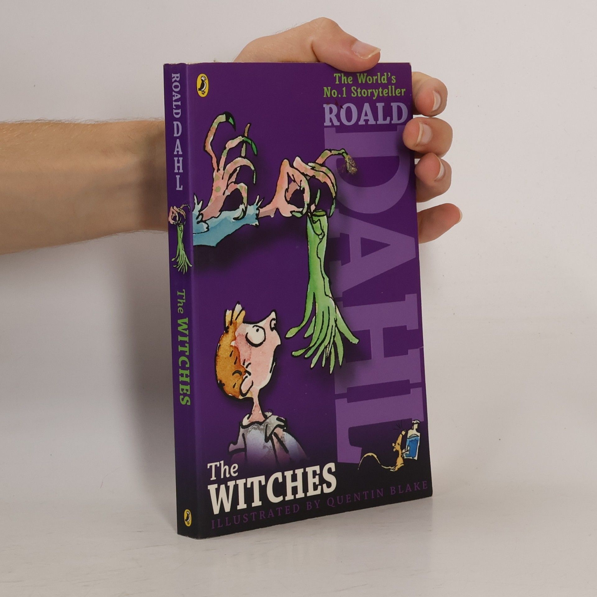 Roald Dahl The Witches