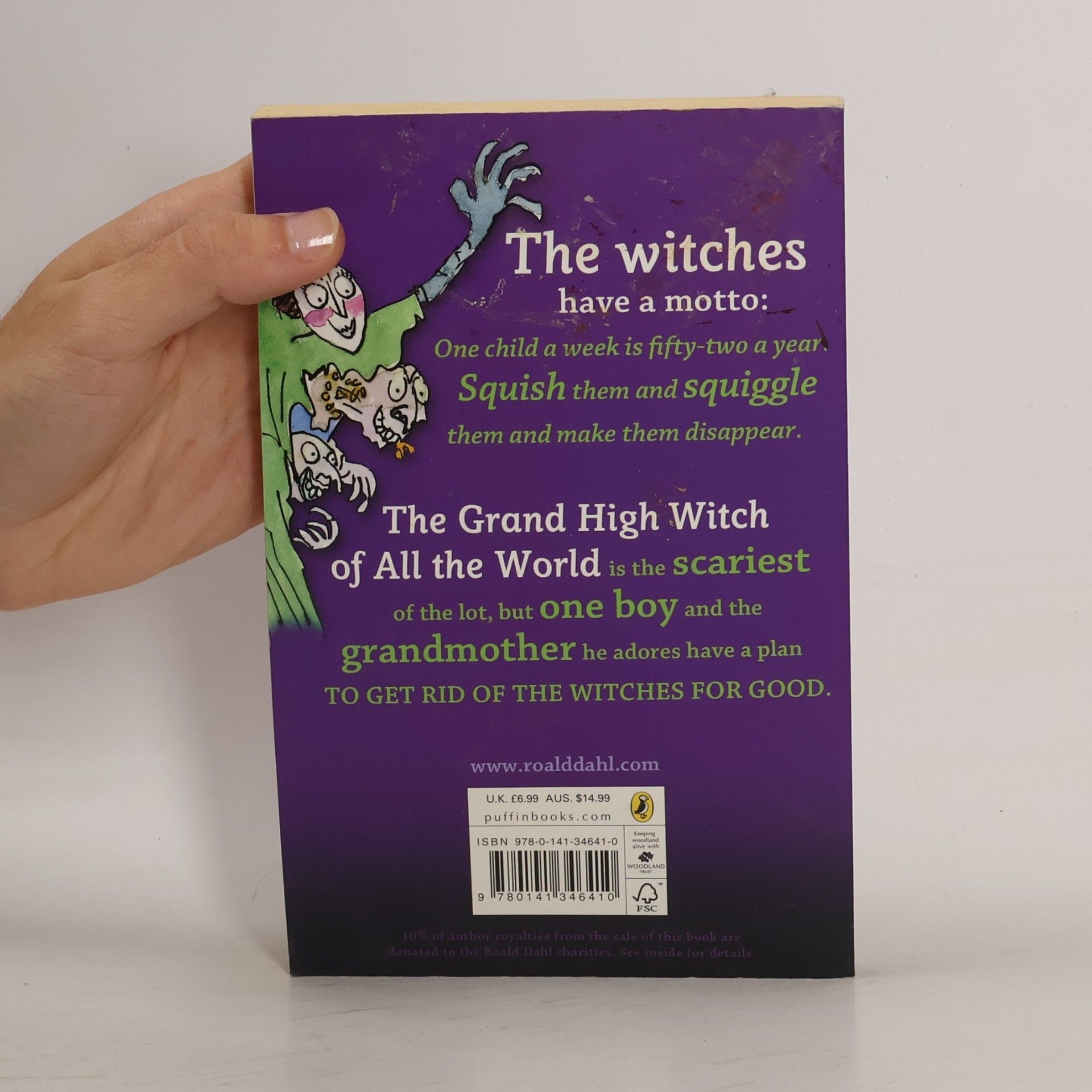 Roald Dahl The Witches