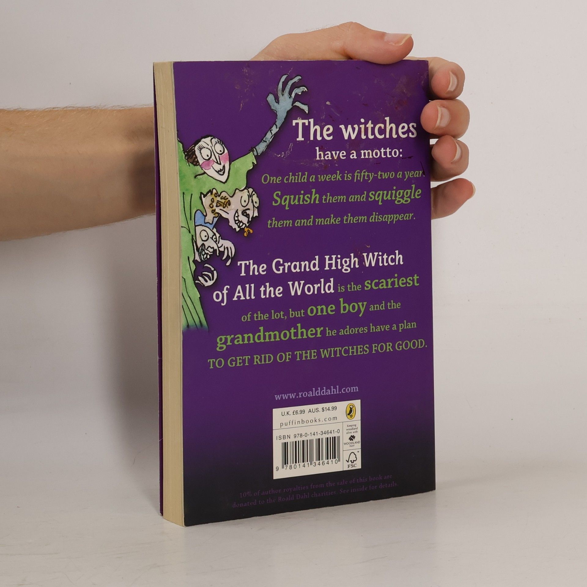 Roald Dahl The Witches