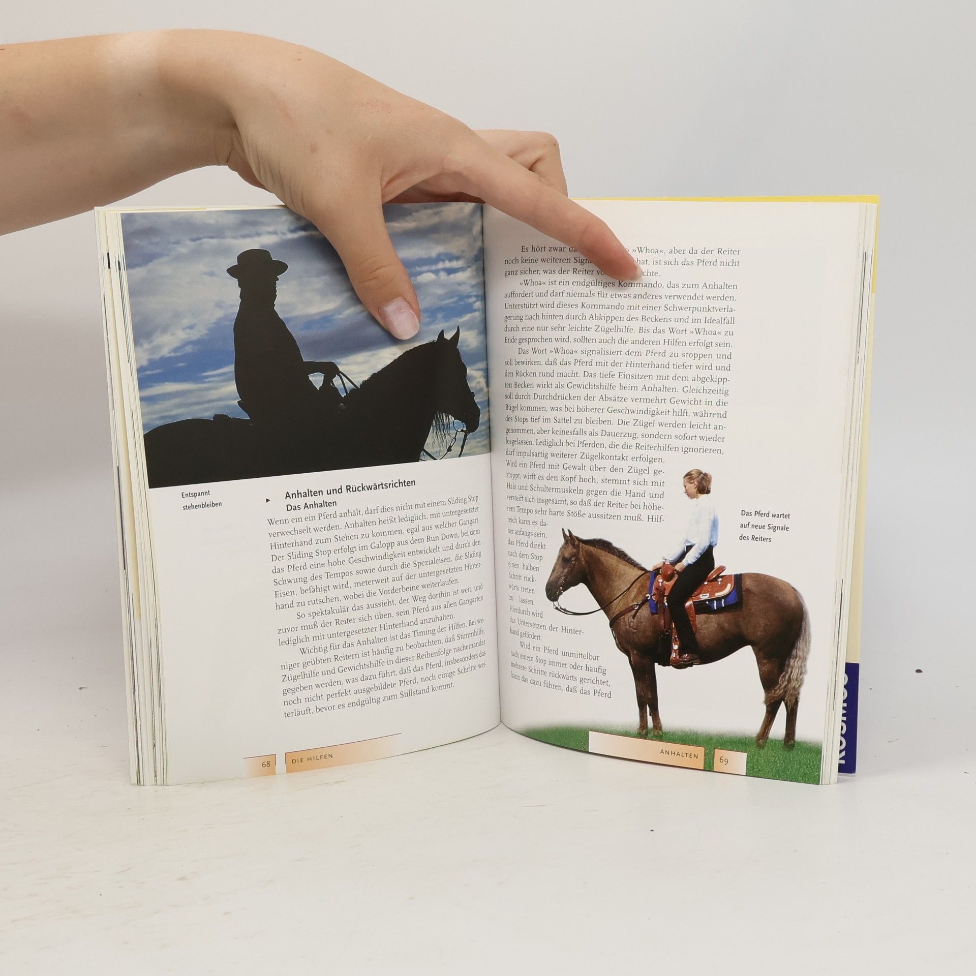 Ute Tietje Westernreiten