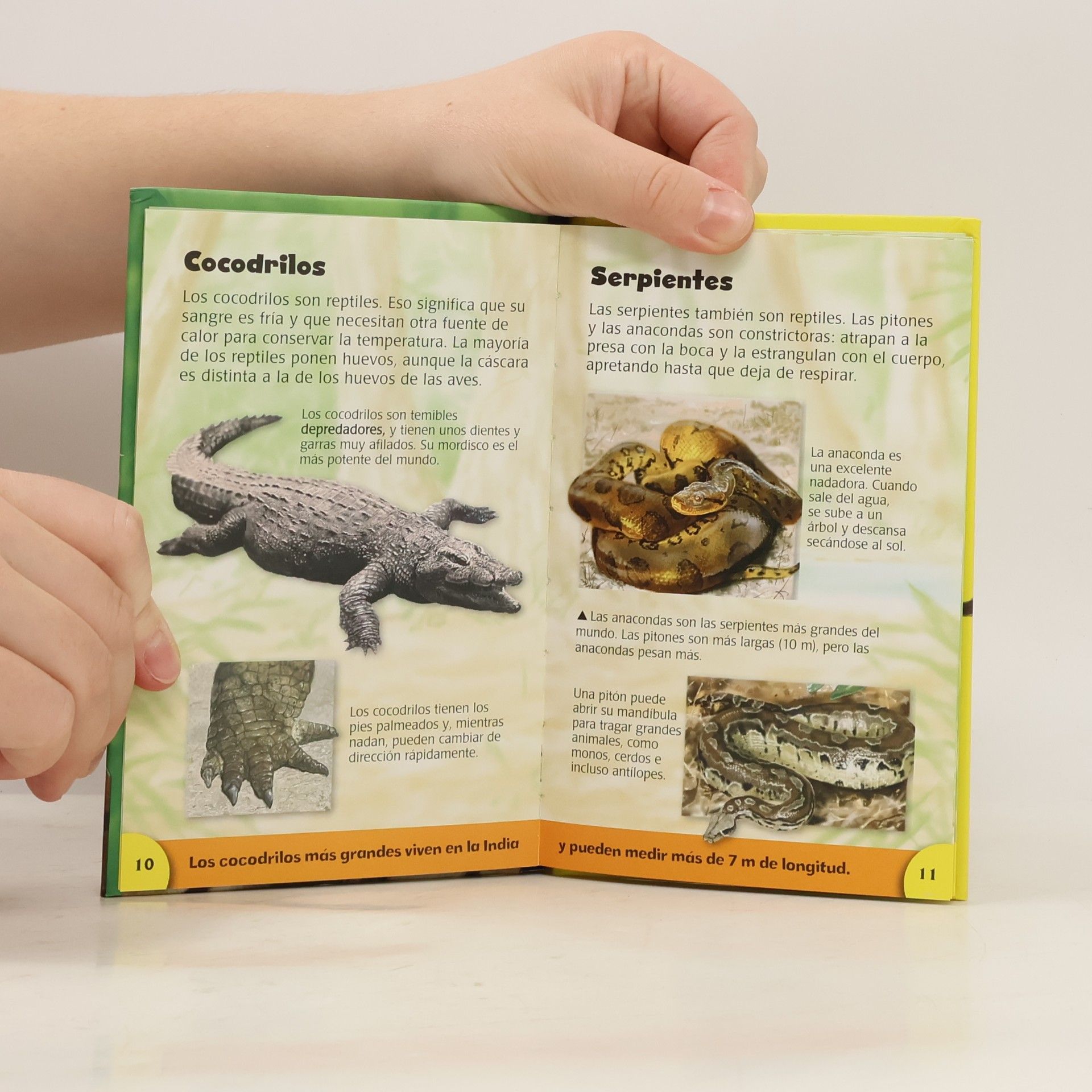 Various authors Animales de la selva