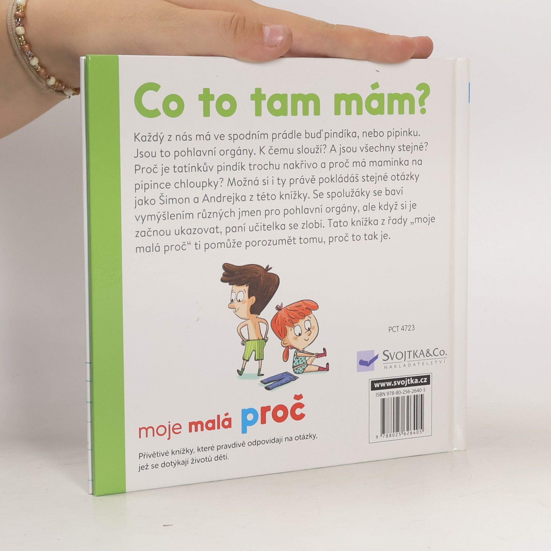 Camille Laurans Co to tam mám?