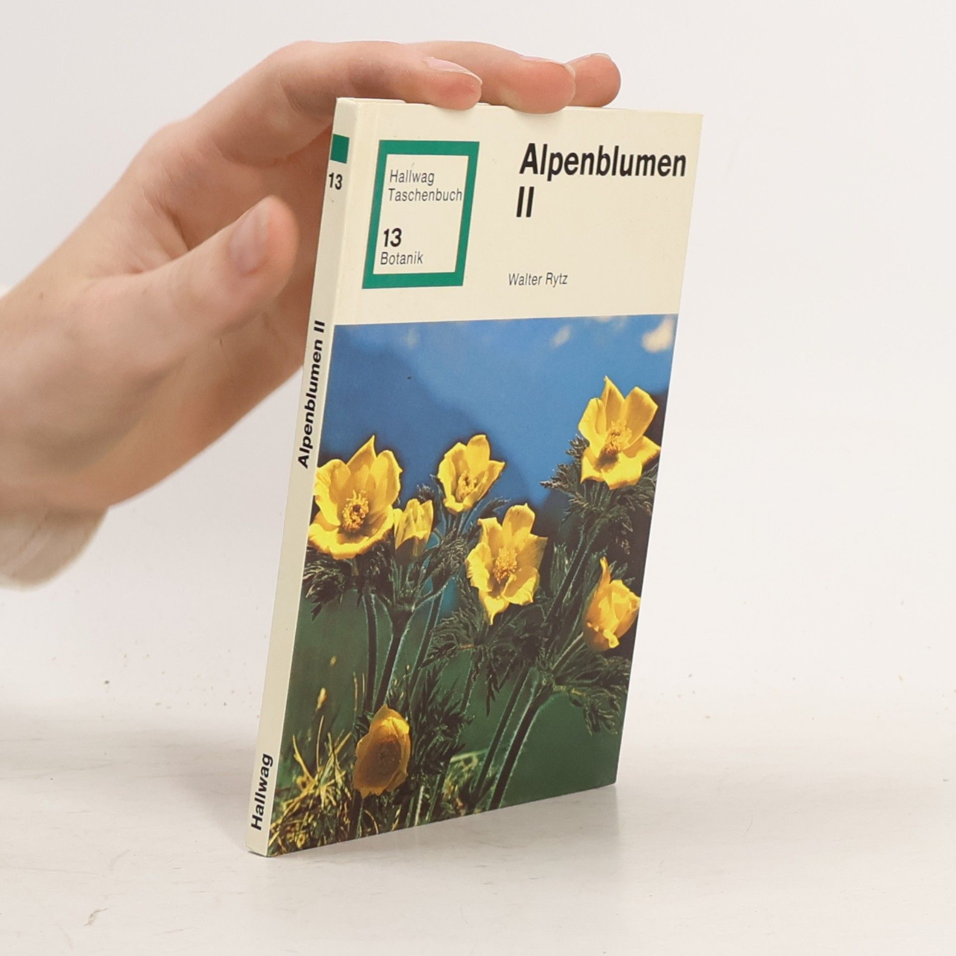 Walter Rytz Alpenblumen II. 13