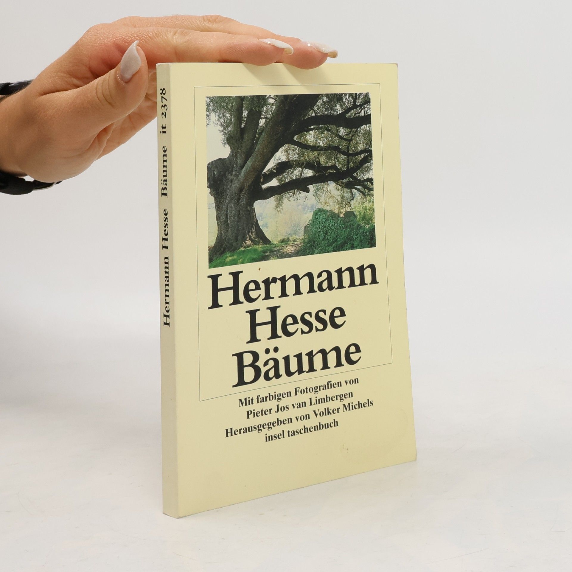 Bäume