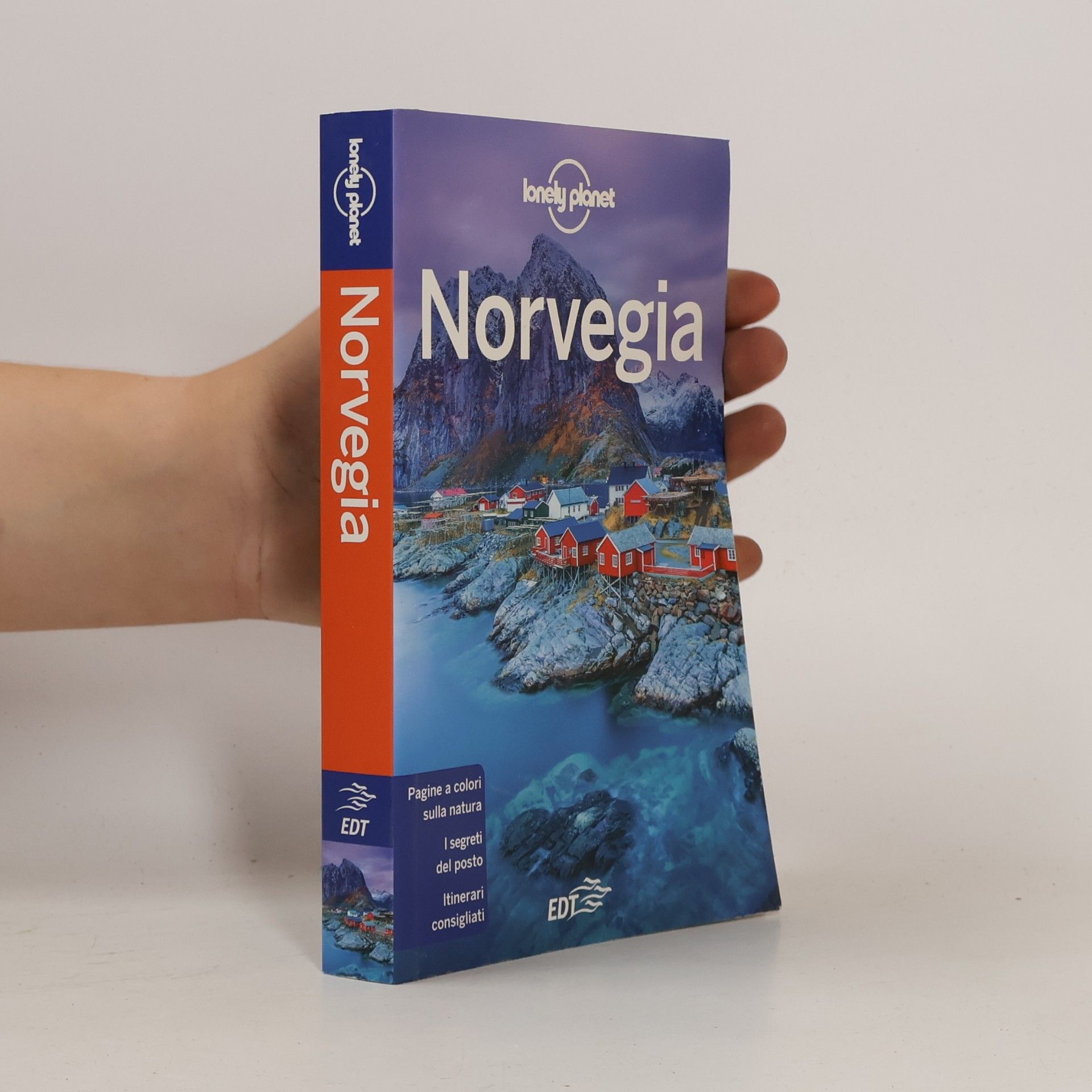 Anthony Ham Norvegia