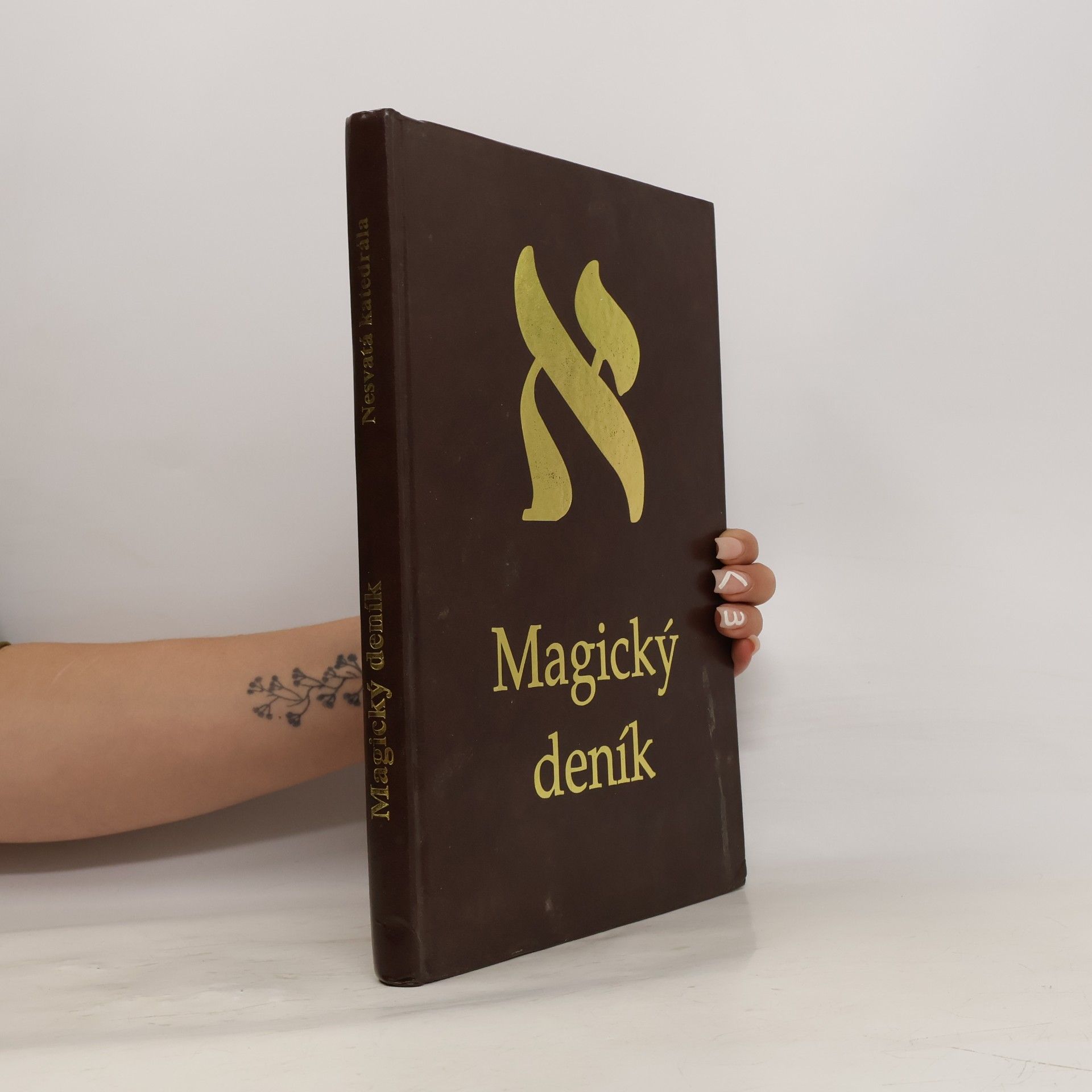 Kolektiv autorů Magický deník