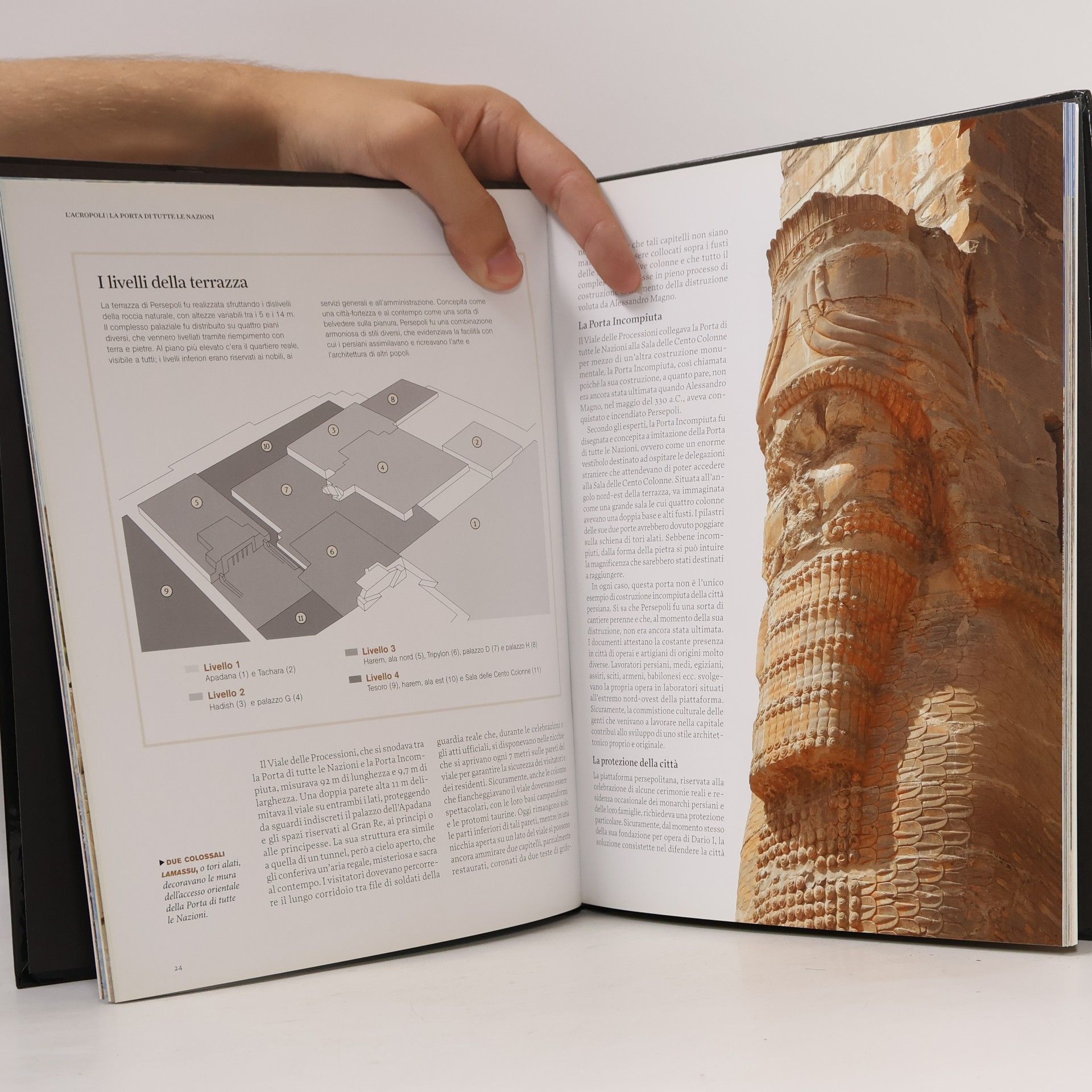 Autorenkollektiv National Geographic Persepoli