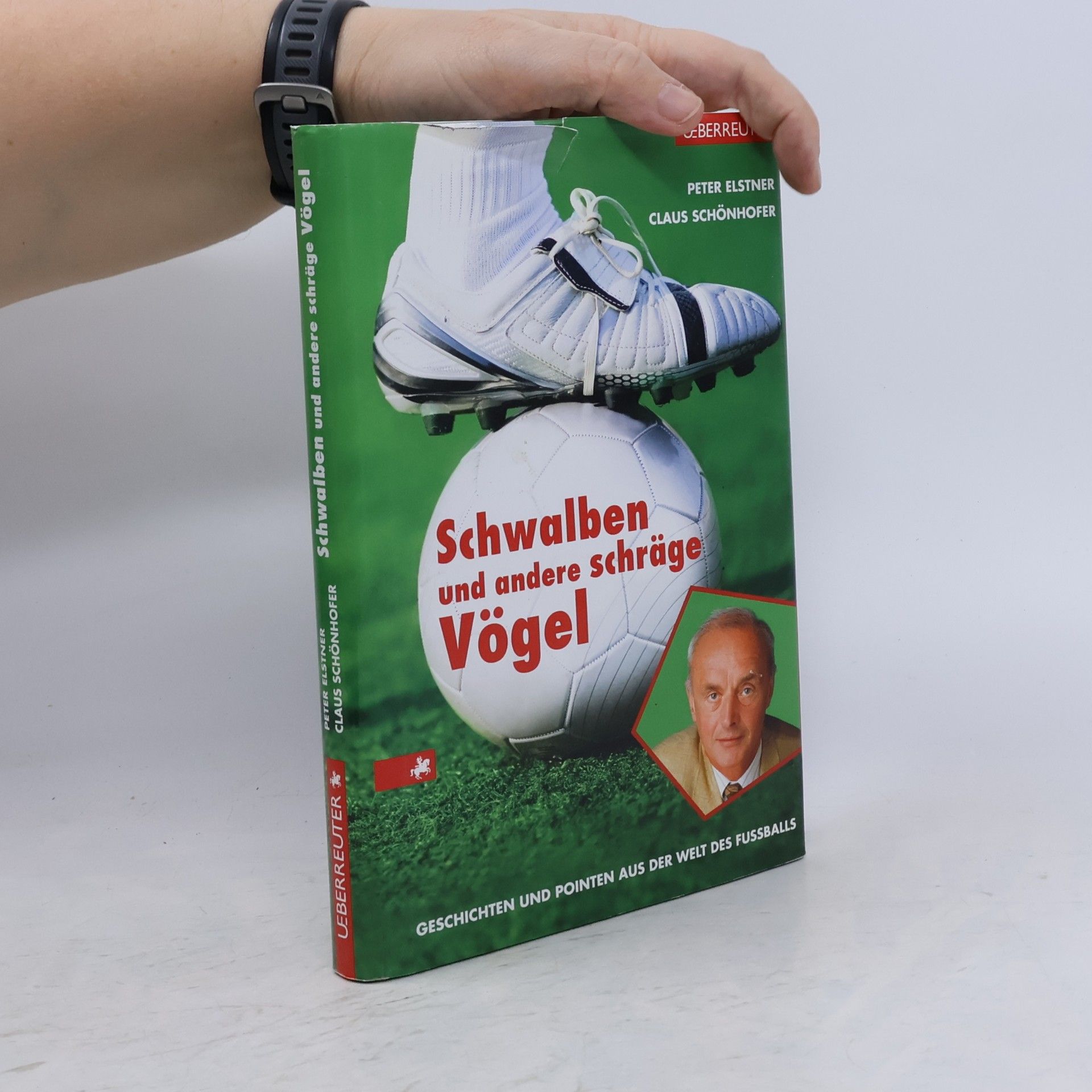 Peter Elstner Schwalben und andere schräge Vögel