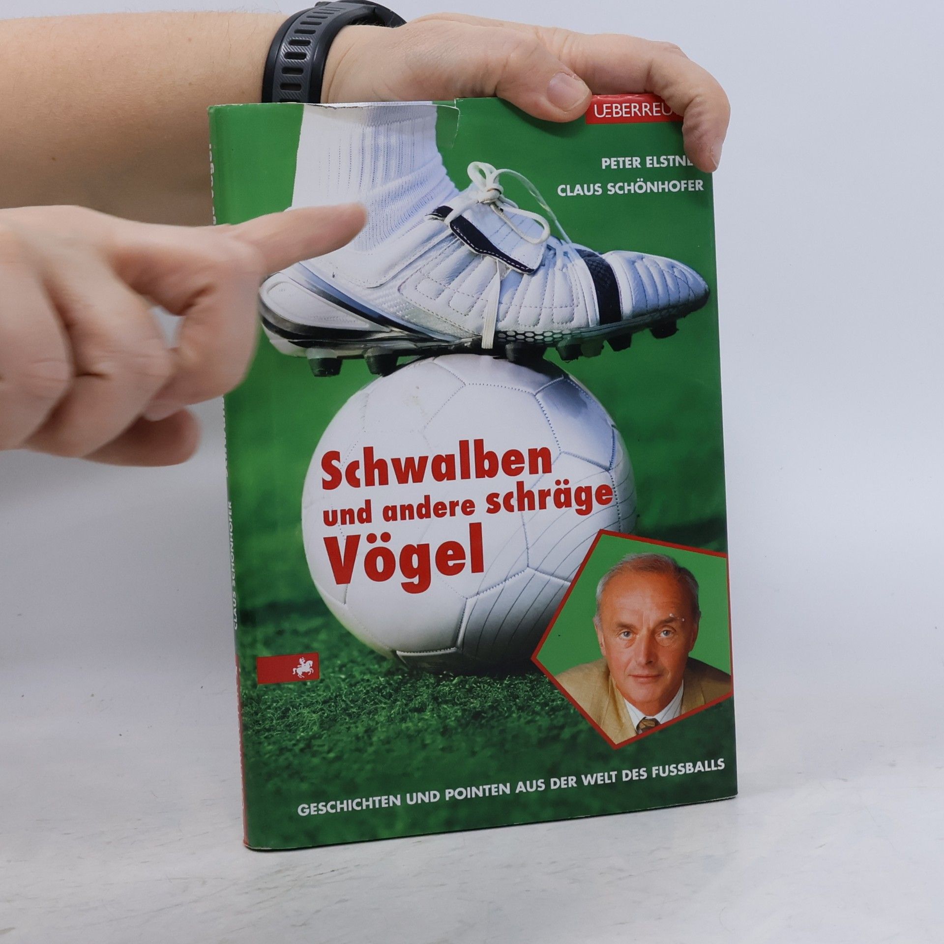Peter Elstner Schwalben und andere schräge Vögel