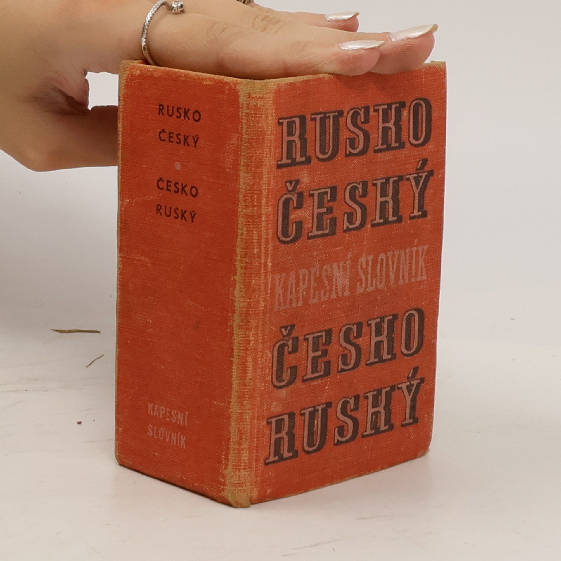 Autorenkollektiv Rusko-český, česko-ruský kapesní slovník