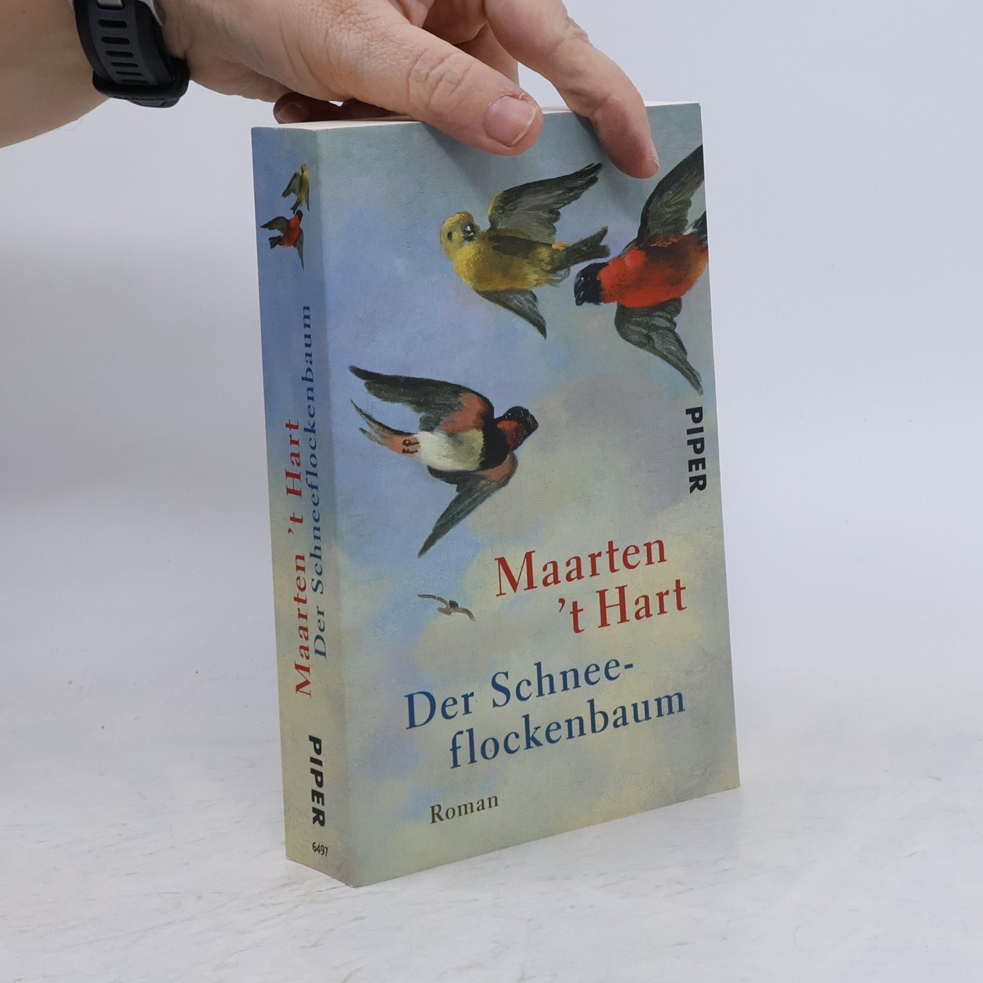 Maarten 't Hart Der Schneeflockenbaum