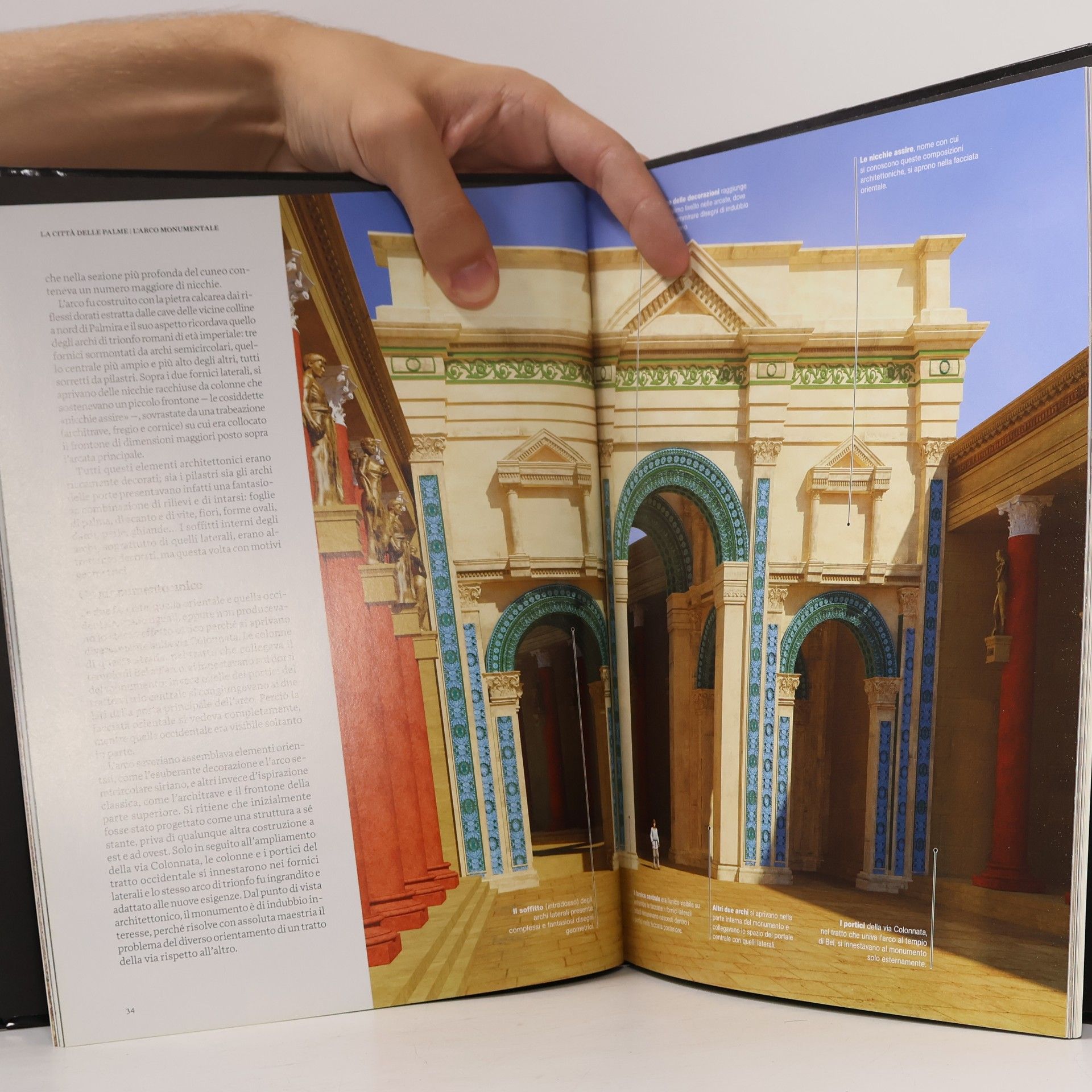 Autorenkollektiv National Geographic Palmira