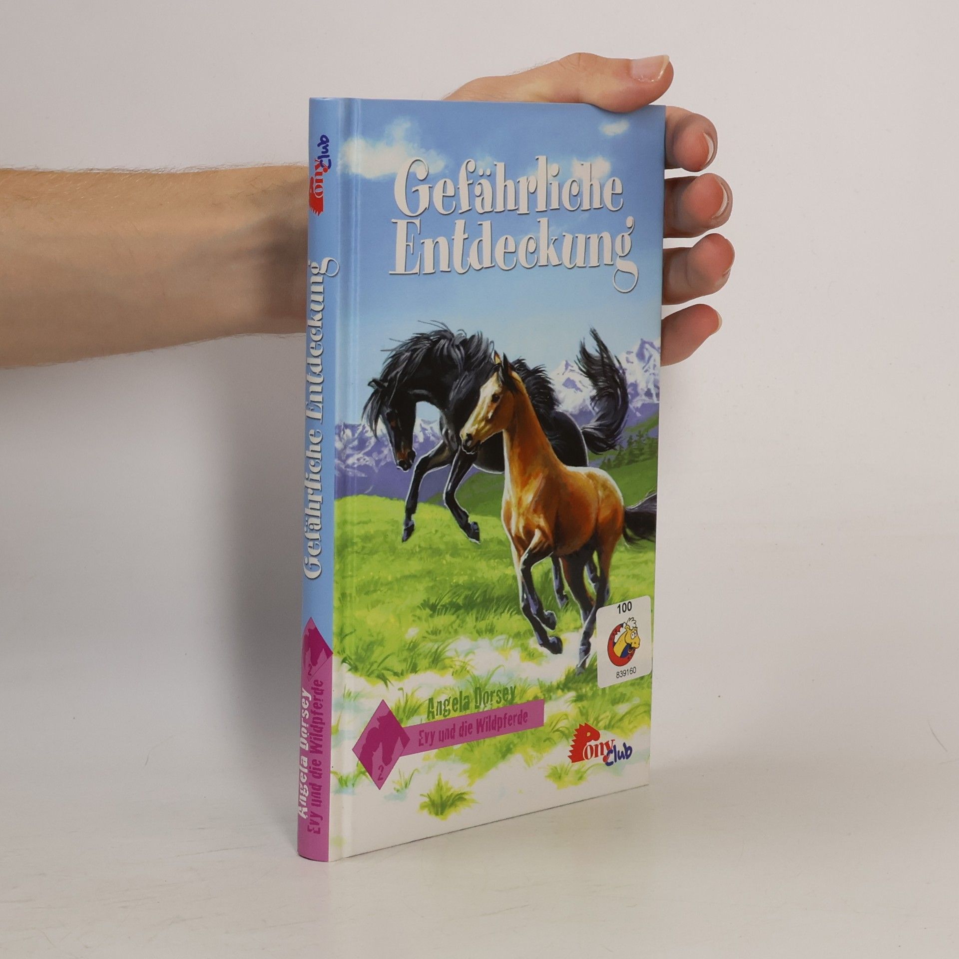 Gefährliche Entdeckung. Evy und die Wildpferde 2