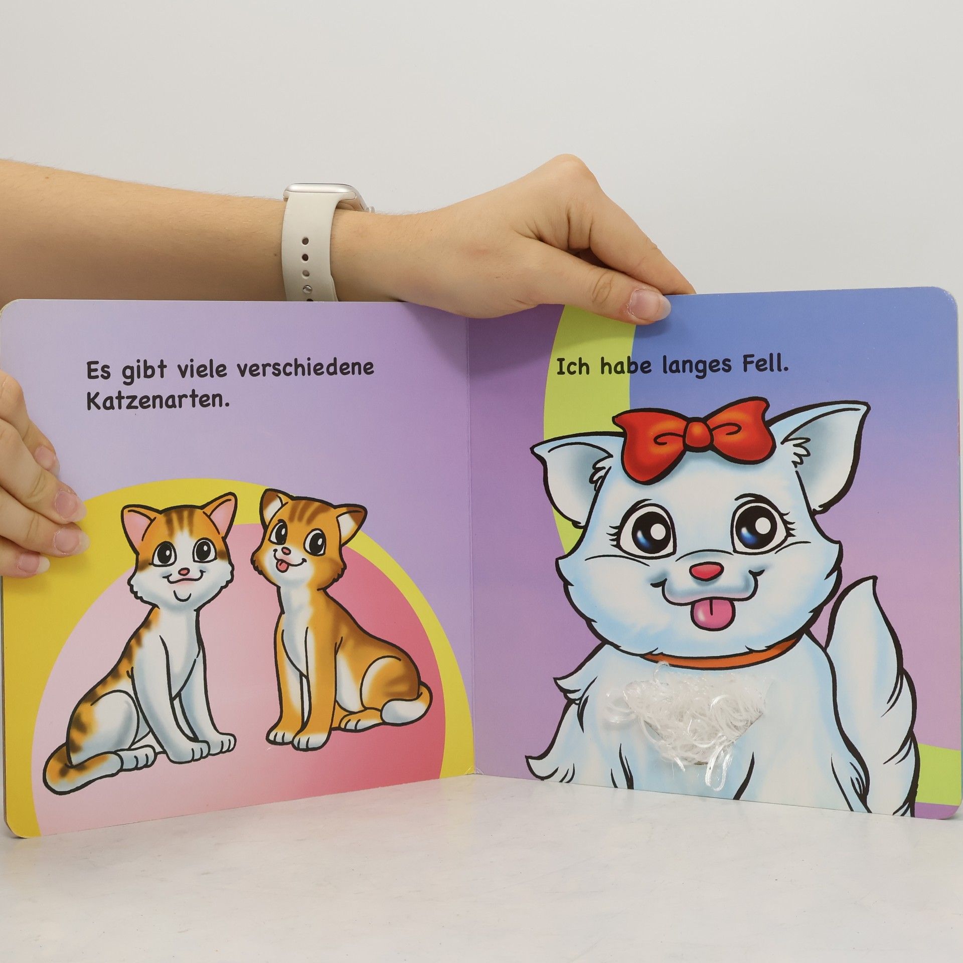 kolektiv Hunde und Katzen
