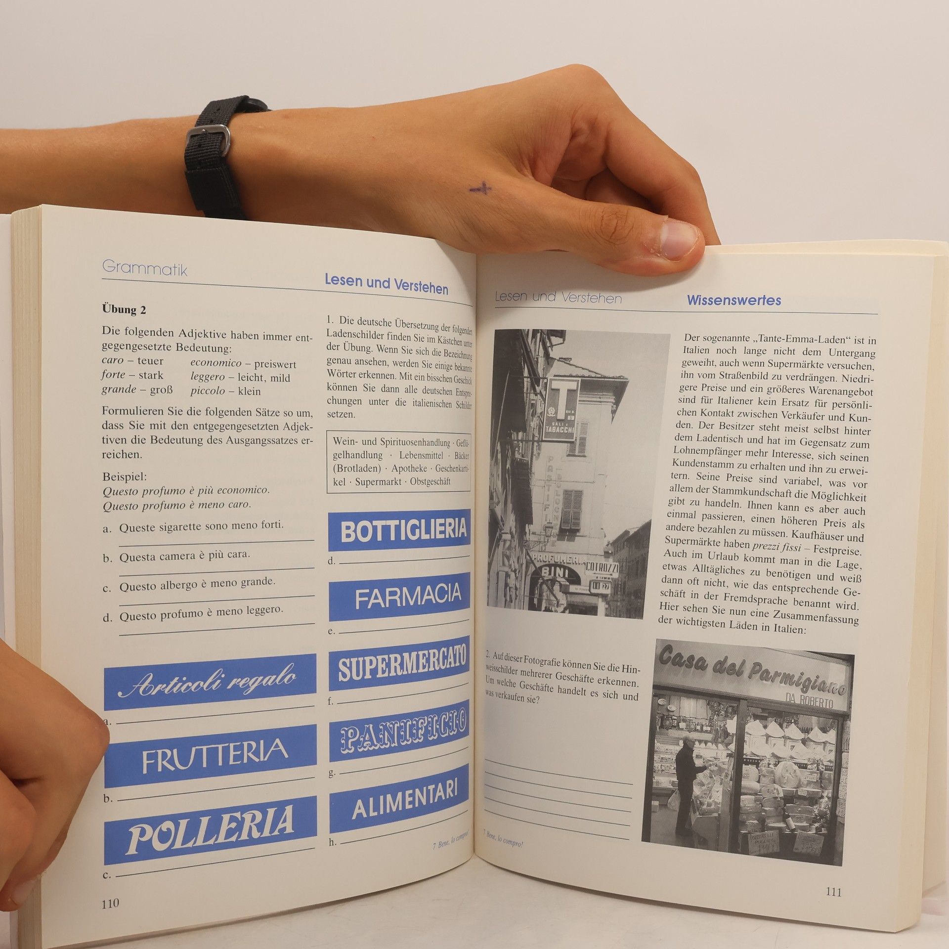 Iolanda Da Forno Große Lerngrammatik Italienisch
