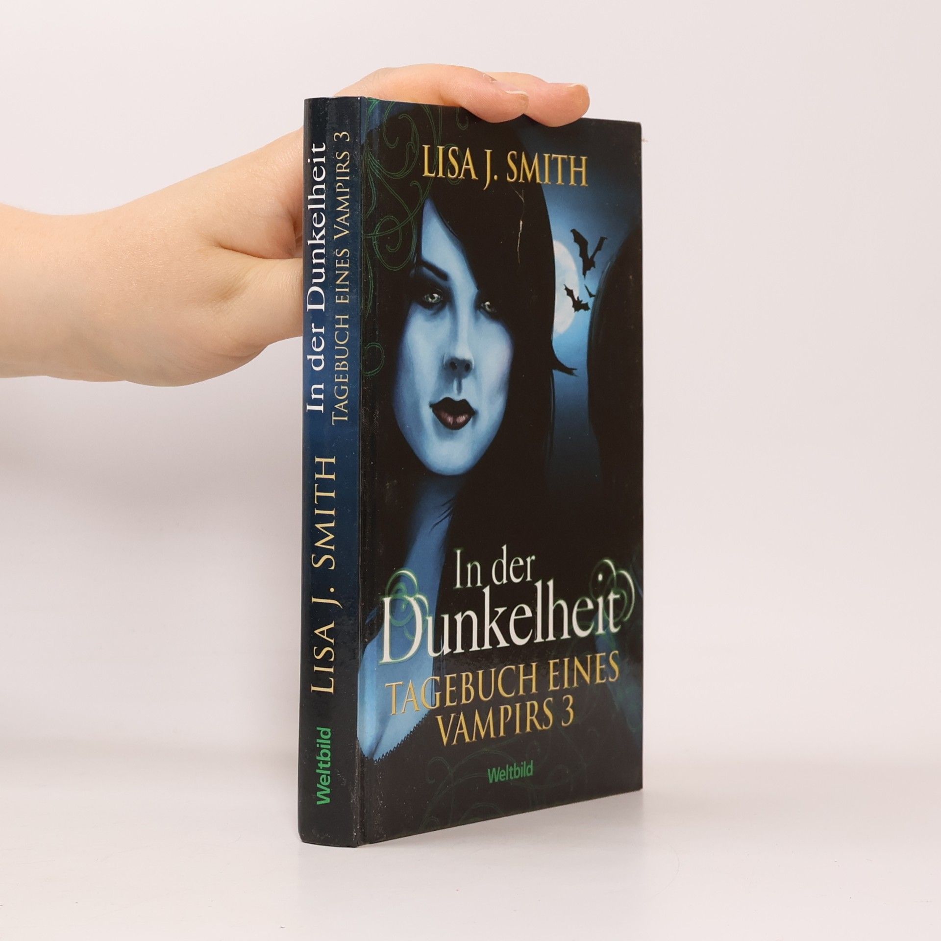 L. J. Smithová  In der Dunkelheit