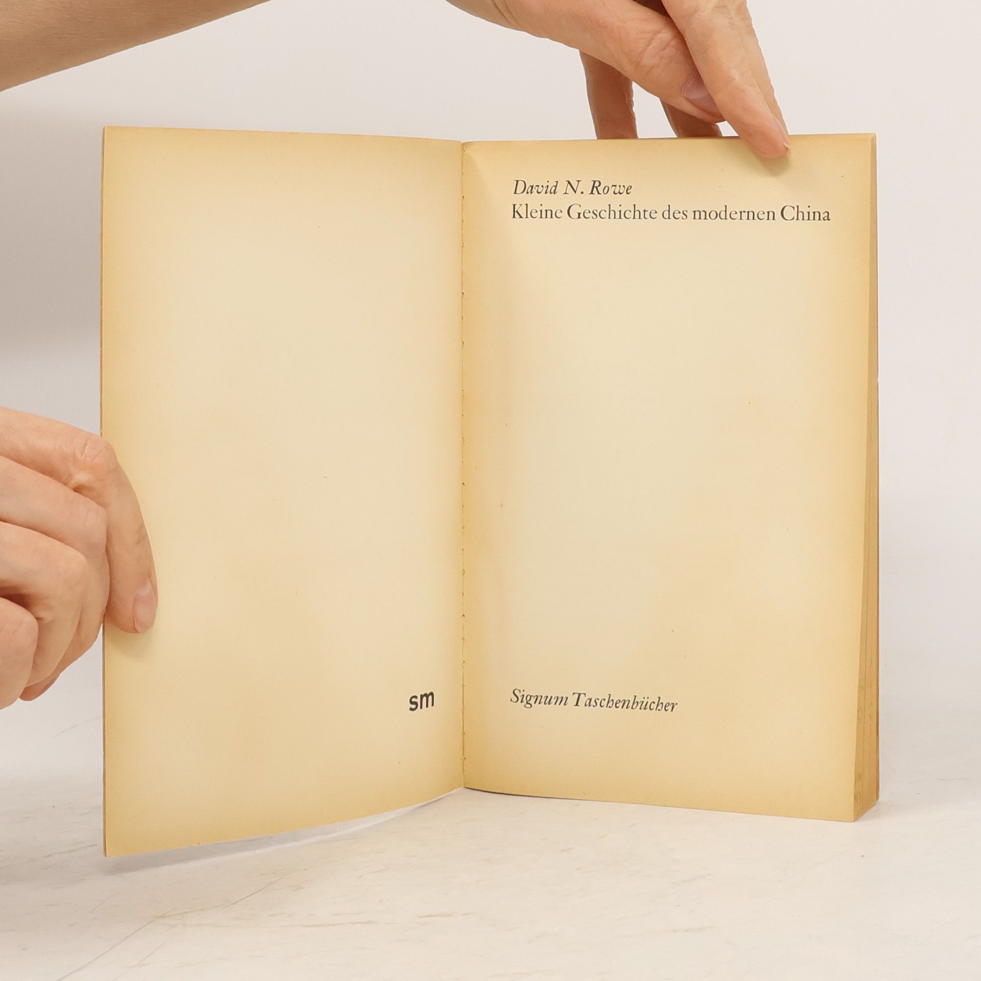 David N. Rowe Kleine Geschichte des Modernen China