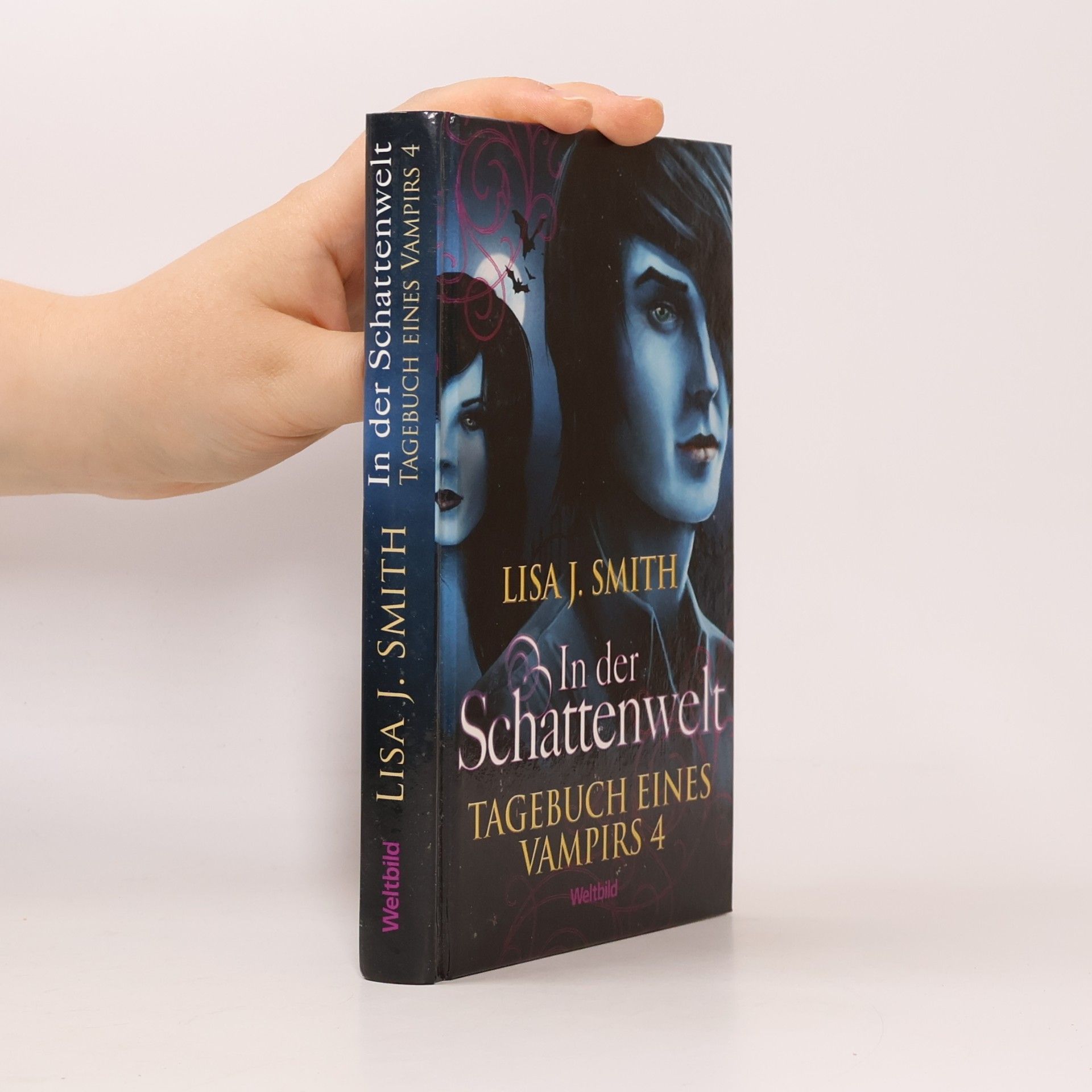L. J. Smithová  Tagebuch eines Vampirs 4. In der Schattenwelt