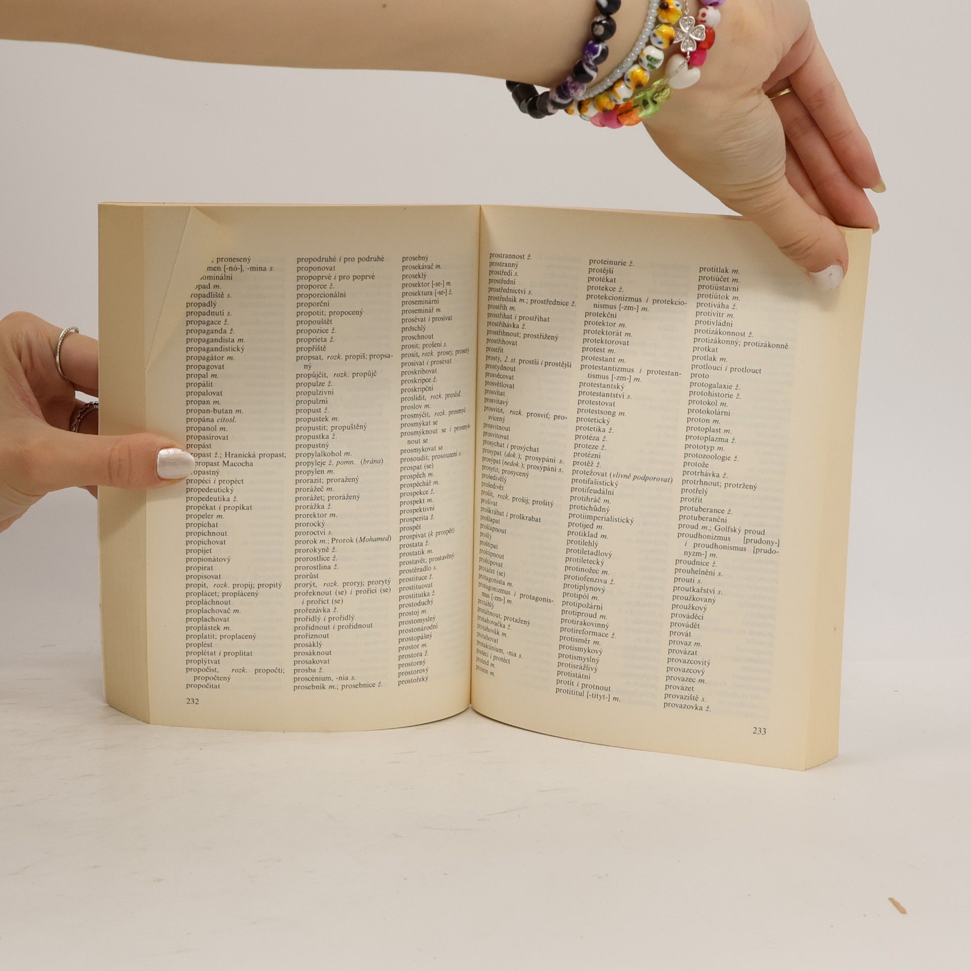 Various authors Pravidla českého pravopisu
