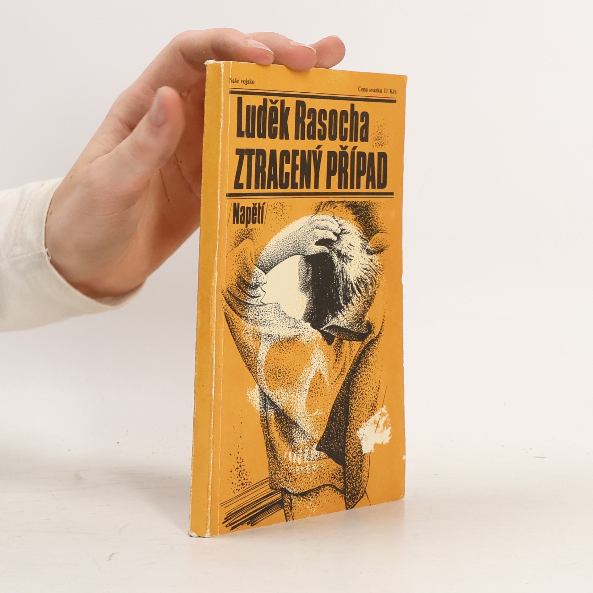 Luděk Rasocha Ztracený případ